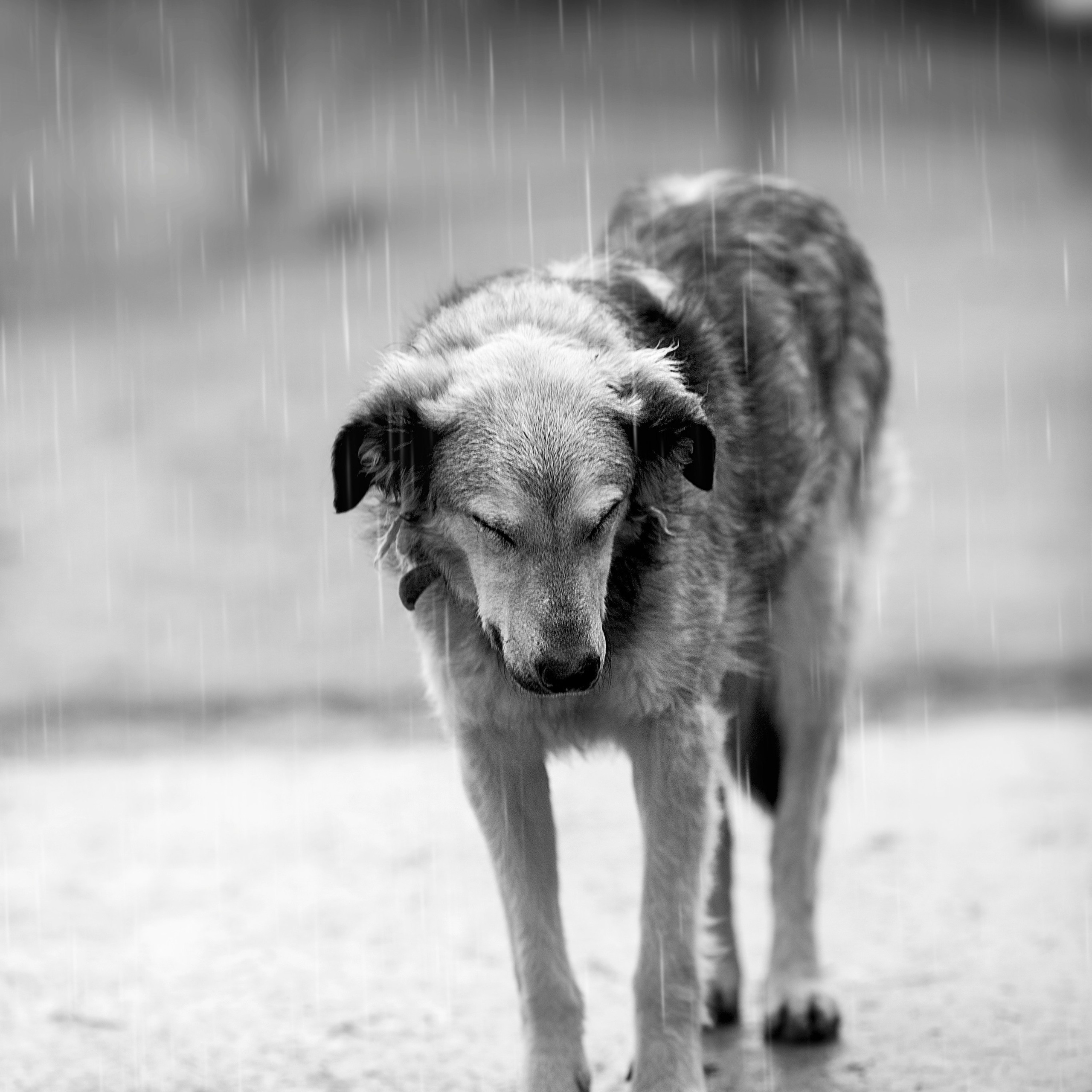 Отзывы. Семейный и детский фотограф Ansi Bay