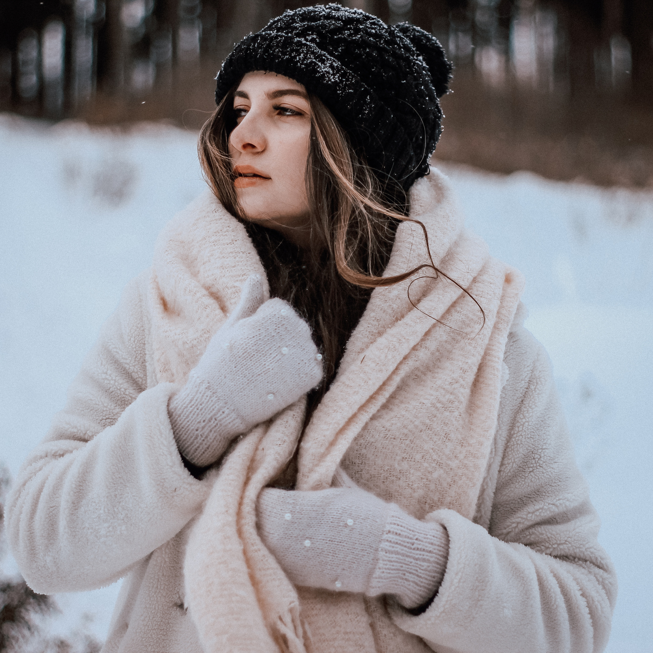 Снежный лес