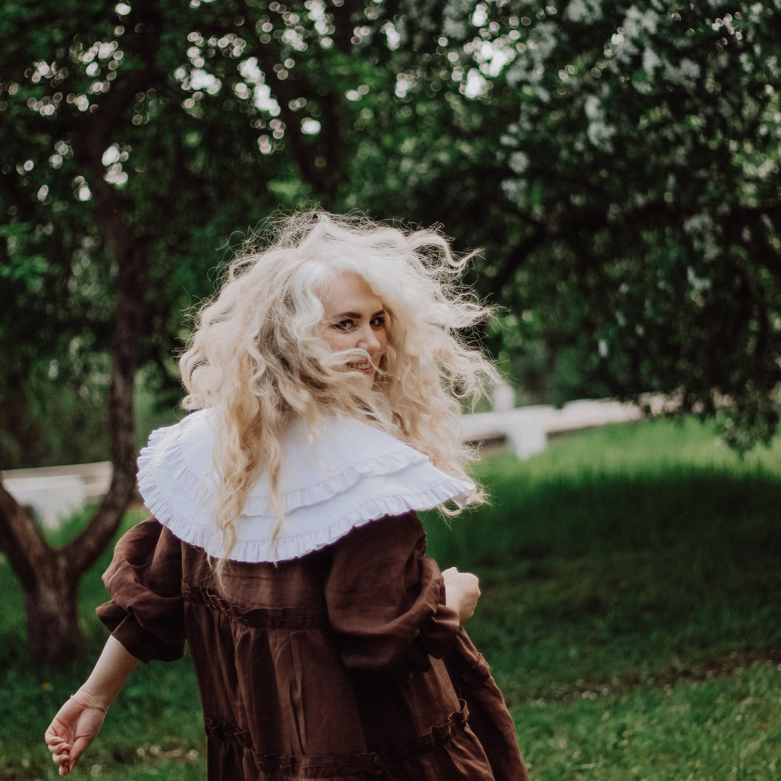 Цветущая яблоня