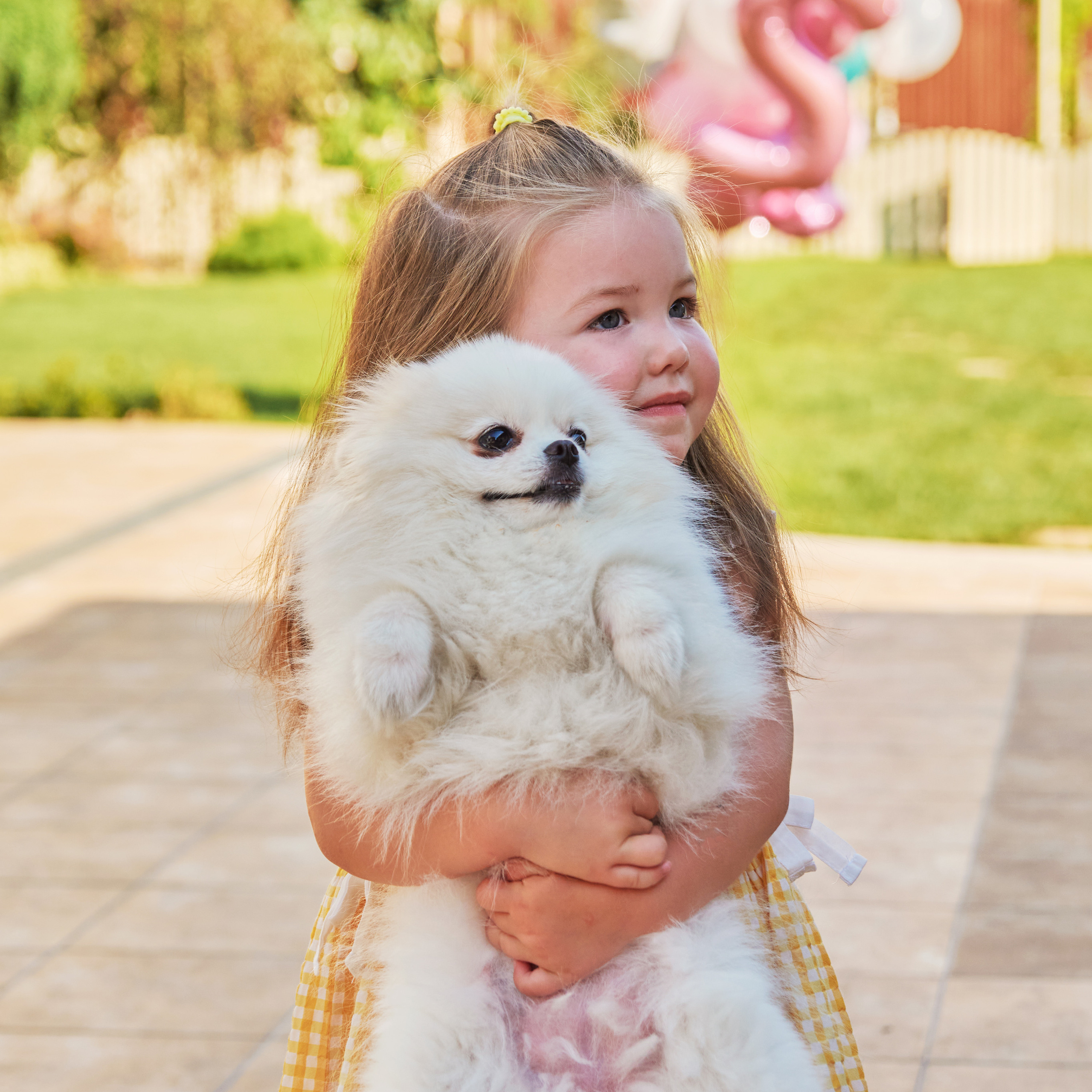 Маленькая принцесса (ДР)