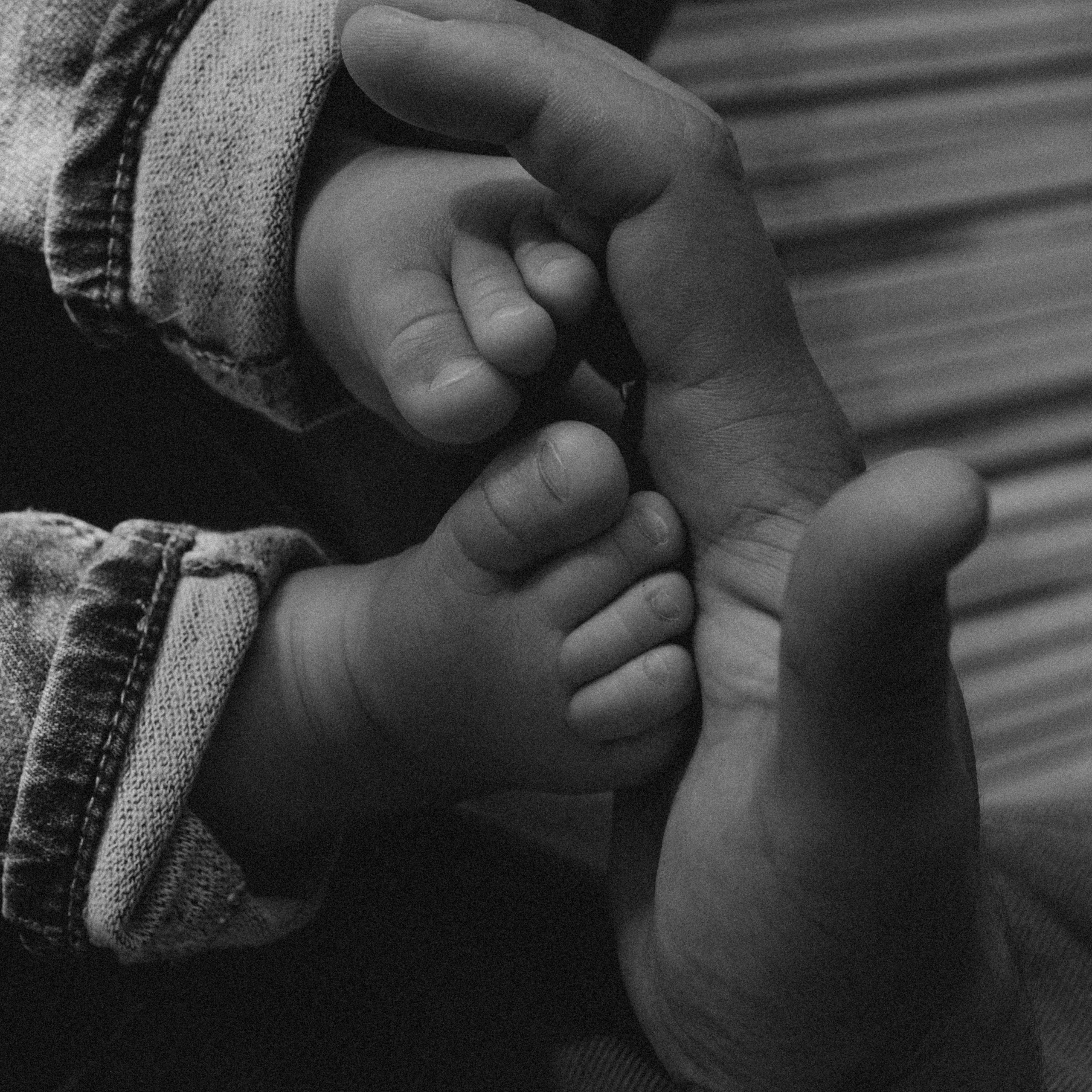 Отзывы. Семейный фотограф и анималист в Москве Анна Иванова