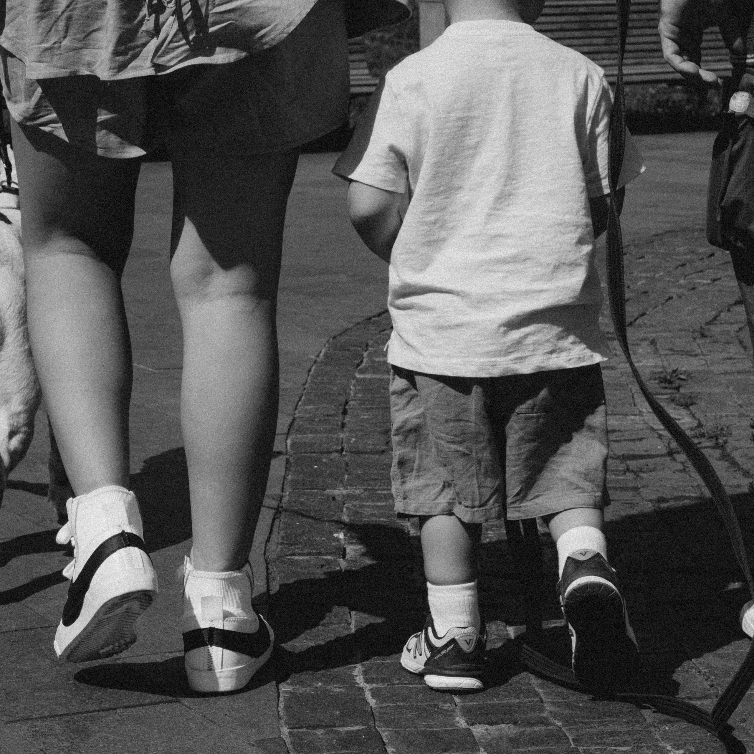 Отзывы. Семейный фотограф и анималист в Москве Анна Иванова