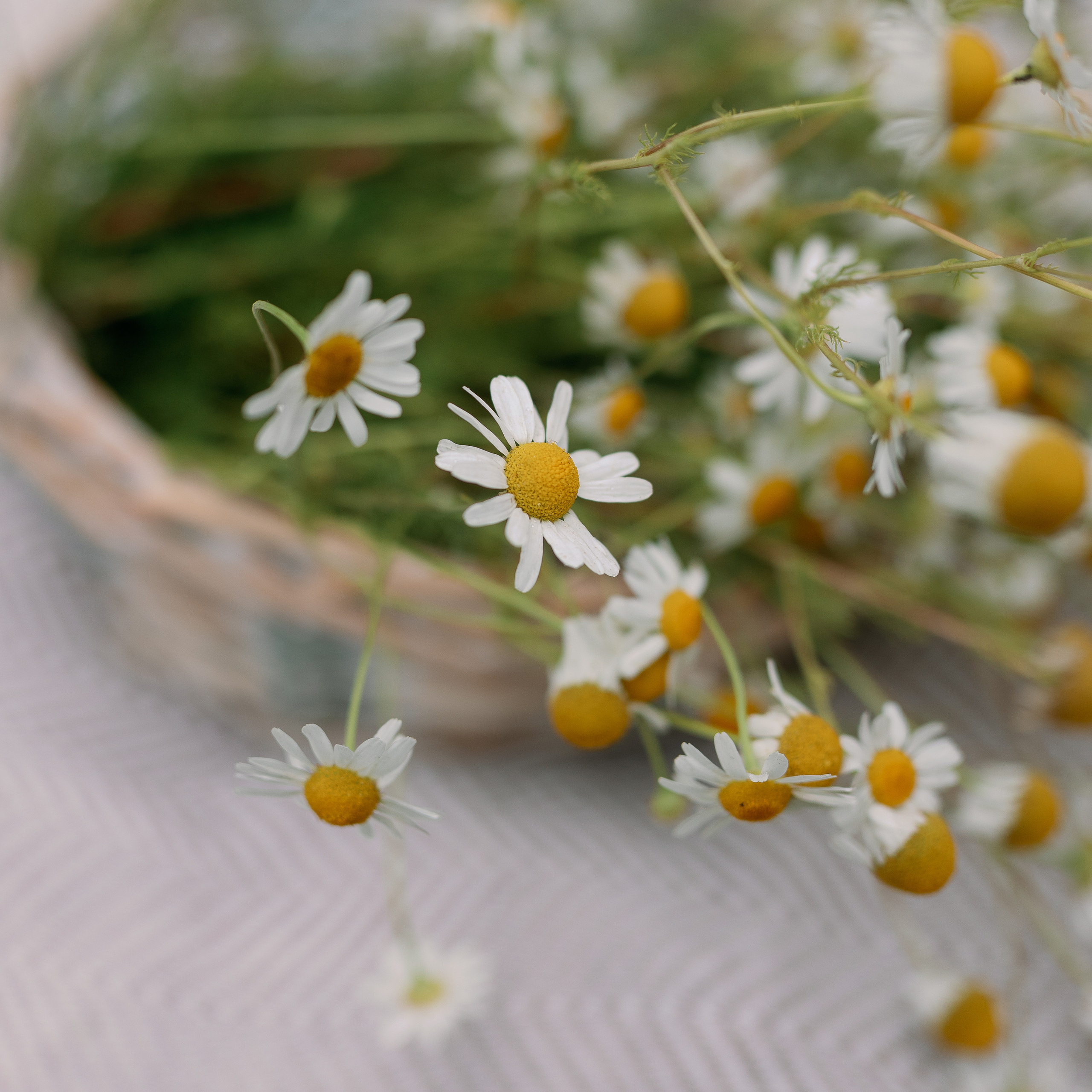 Отзывы. Свадебный фотограф Павел Князев