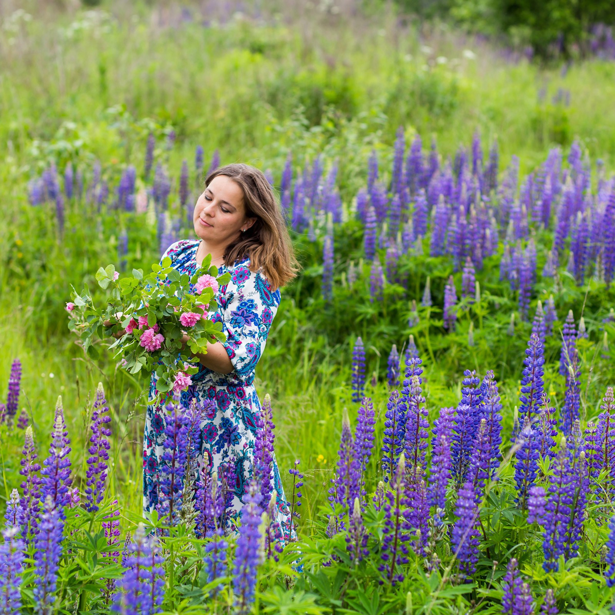 Фиолетовый цвет