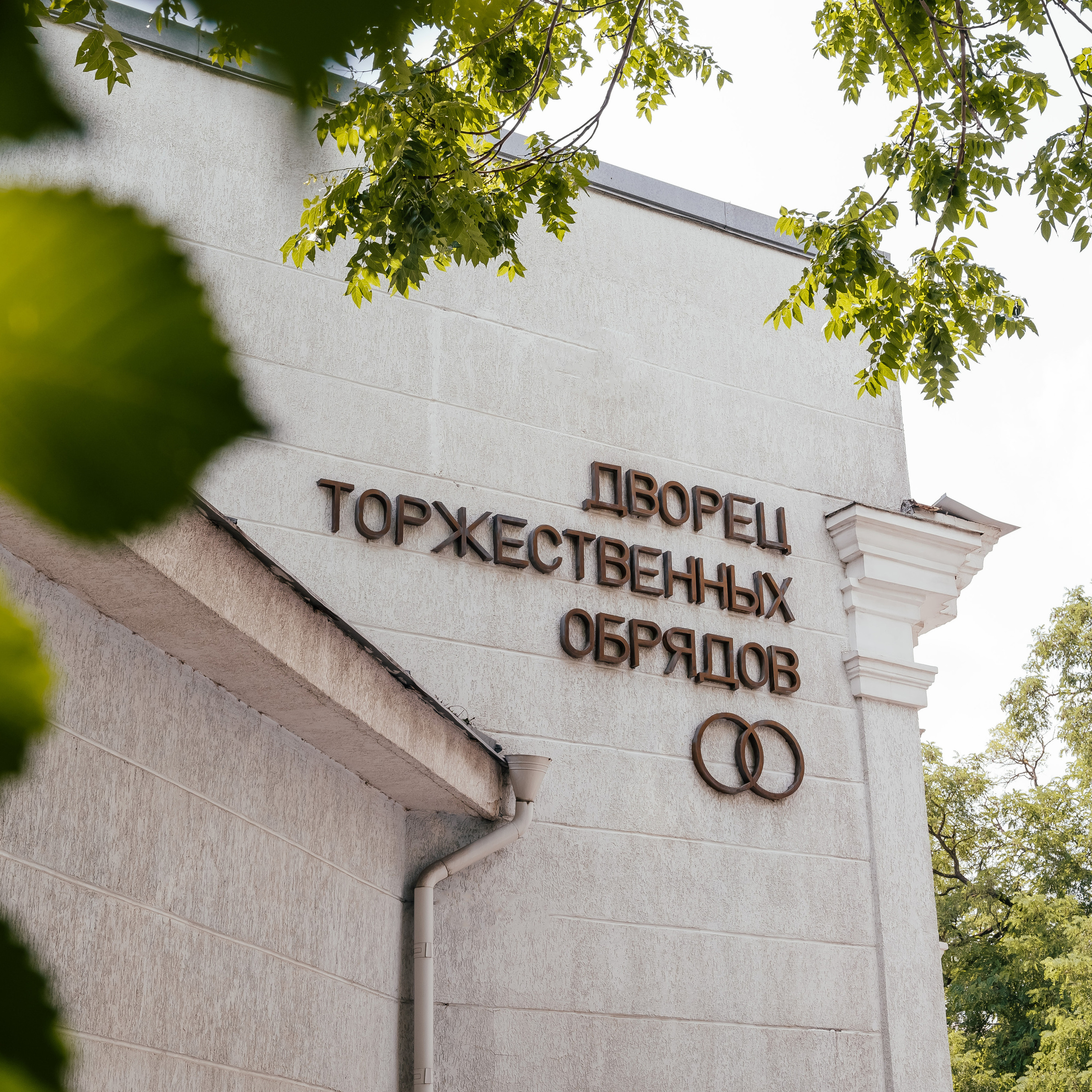 Отзывы. Свадебный фотограф Ростове-на-Дону