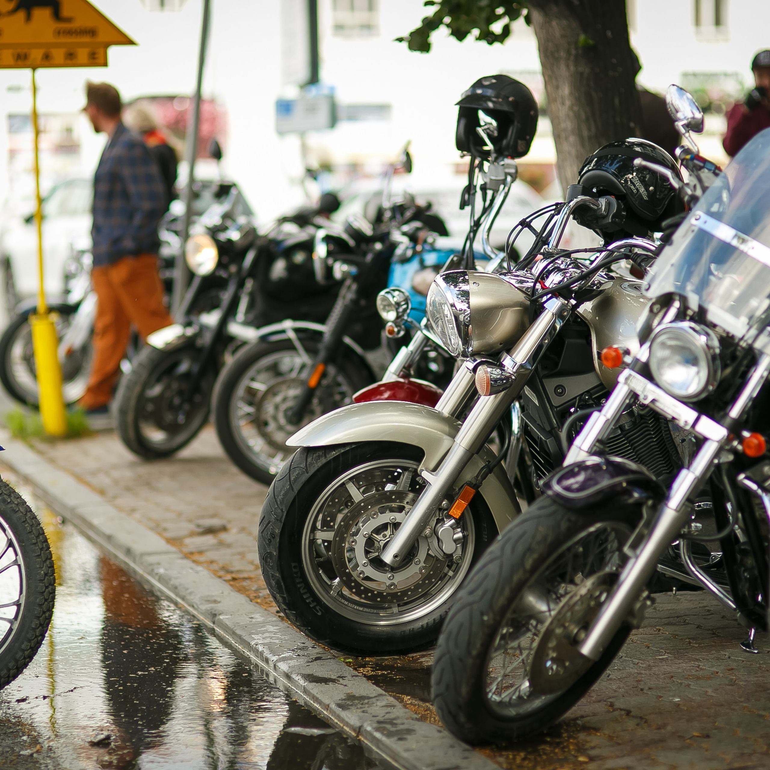 РозиДжейн Segal