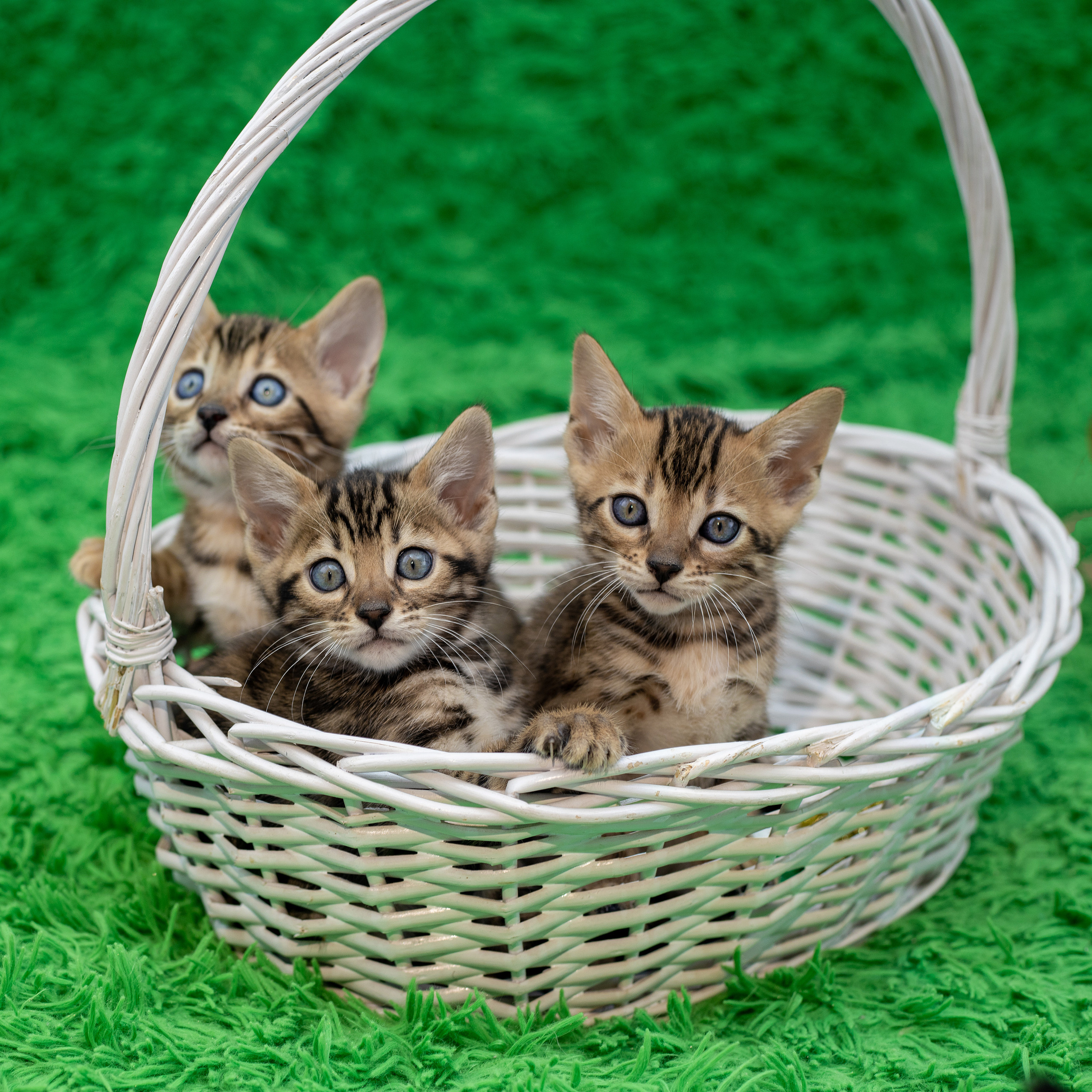 Отзывы. Семейный и детский фотограф Светлана Котик Спасск-Дальний, Владивосток, Приморский край