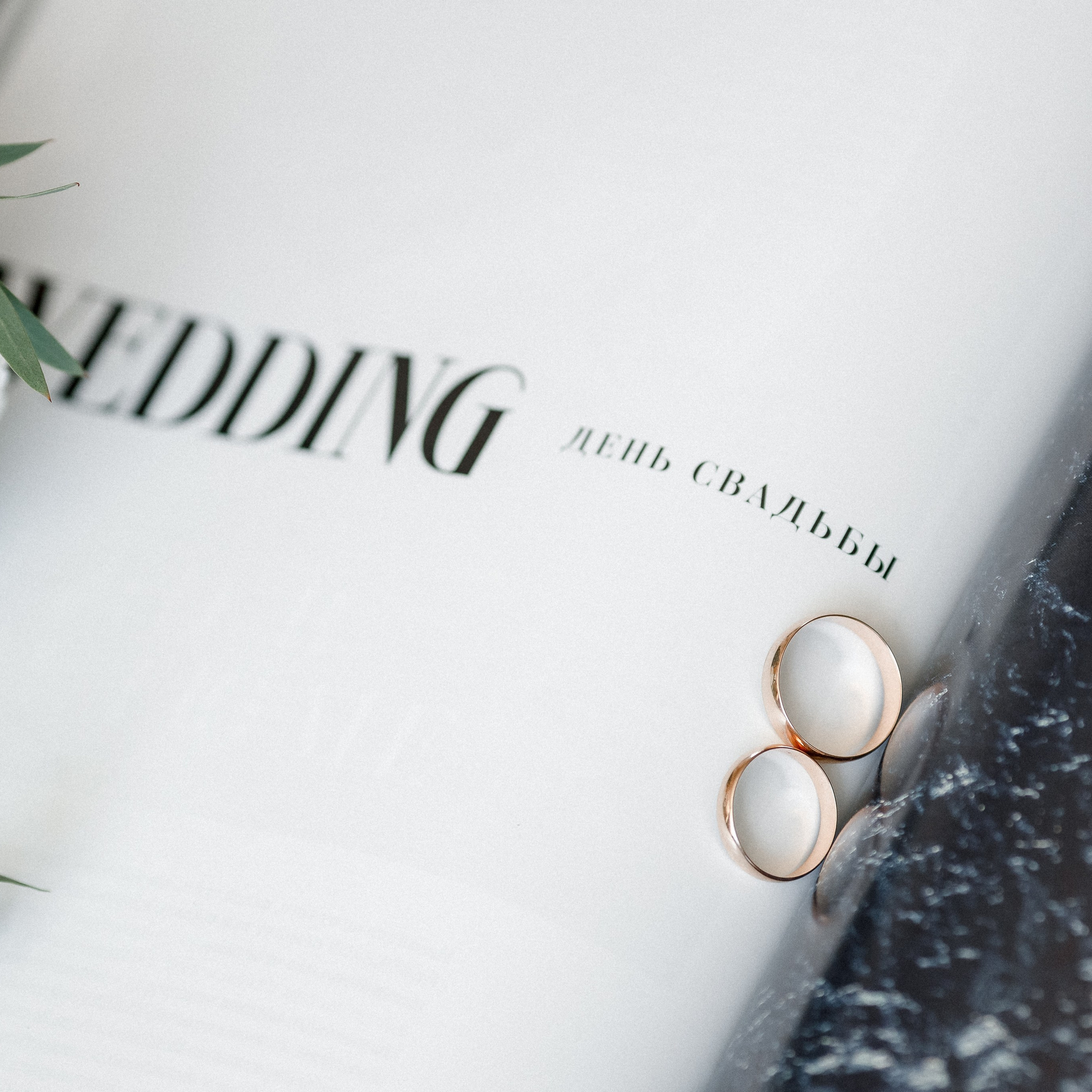 Отзывы. Фотограф Петр Капралов