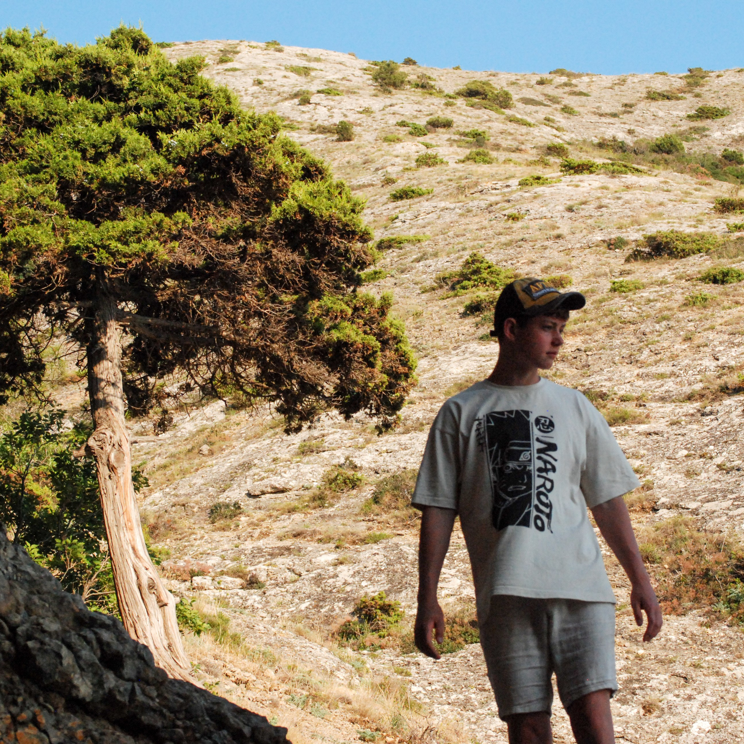 Фотопрогулка.Крым