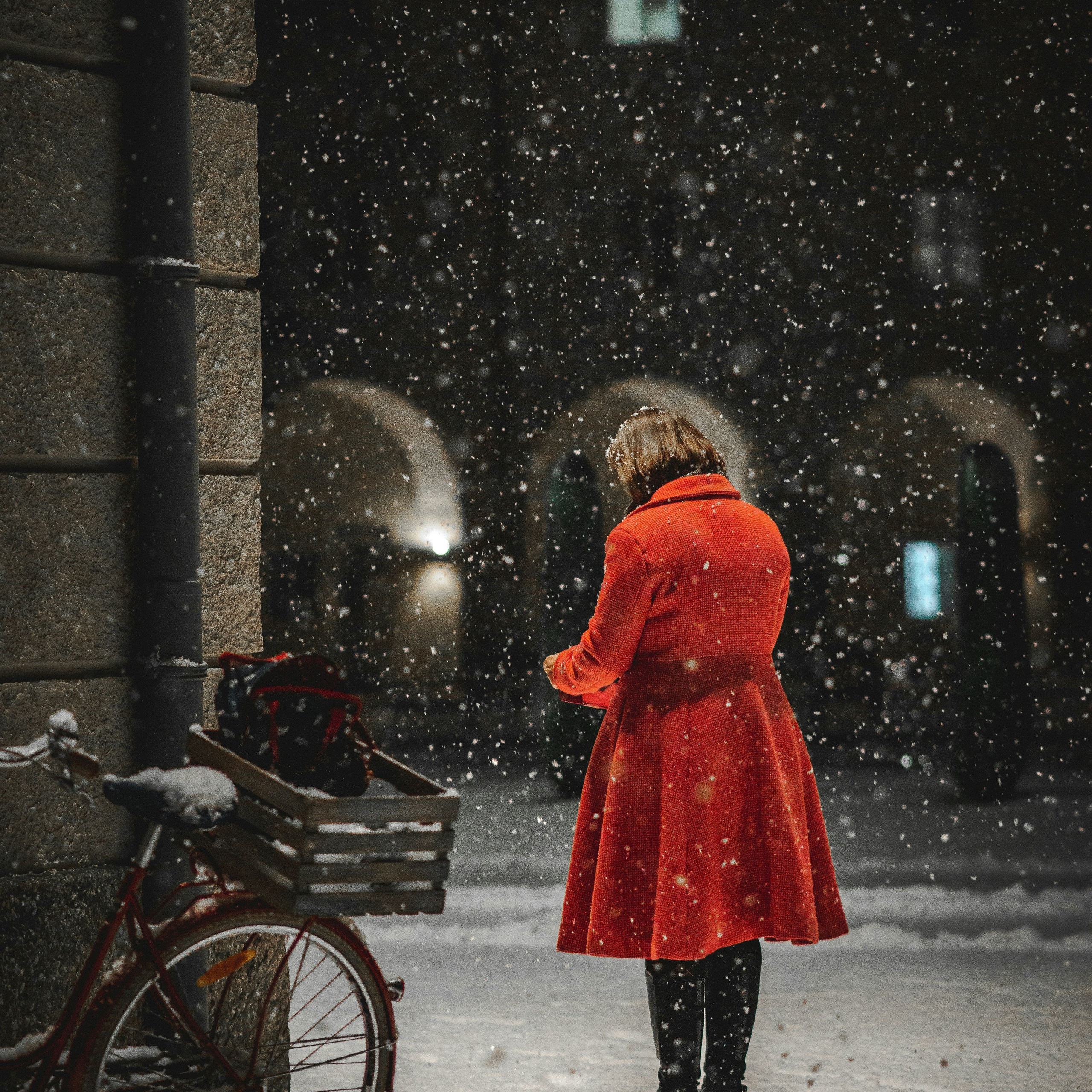 Fotograf Elena Ermolaeva