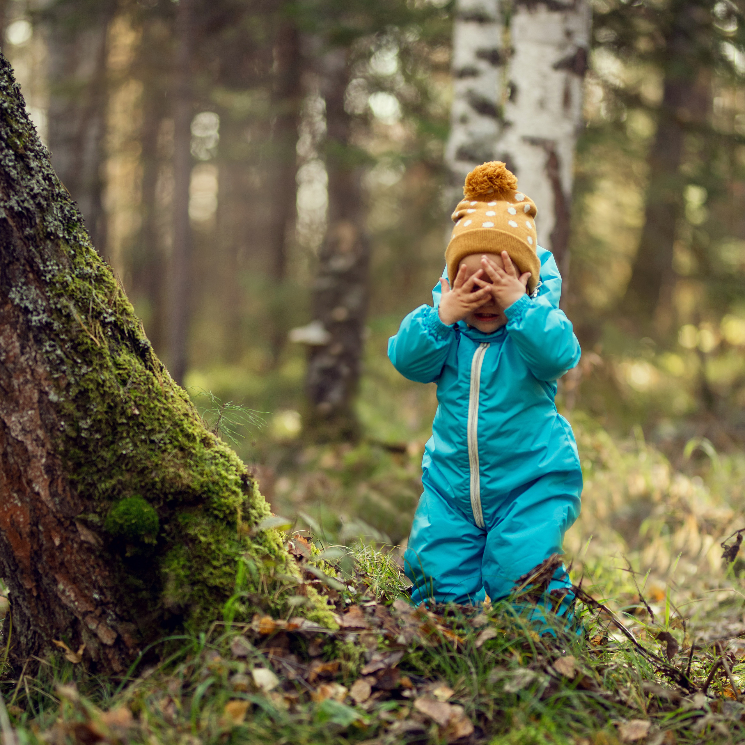 Прогулка в осеннем лесу