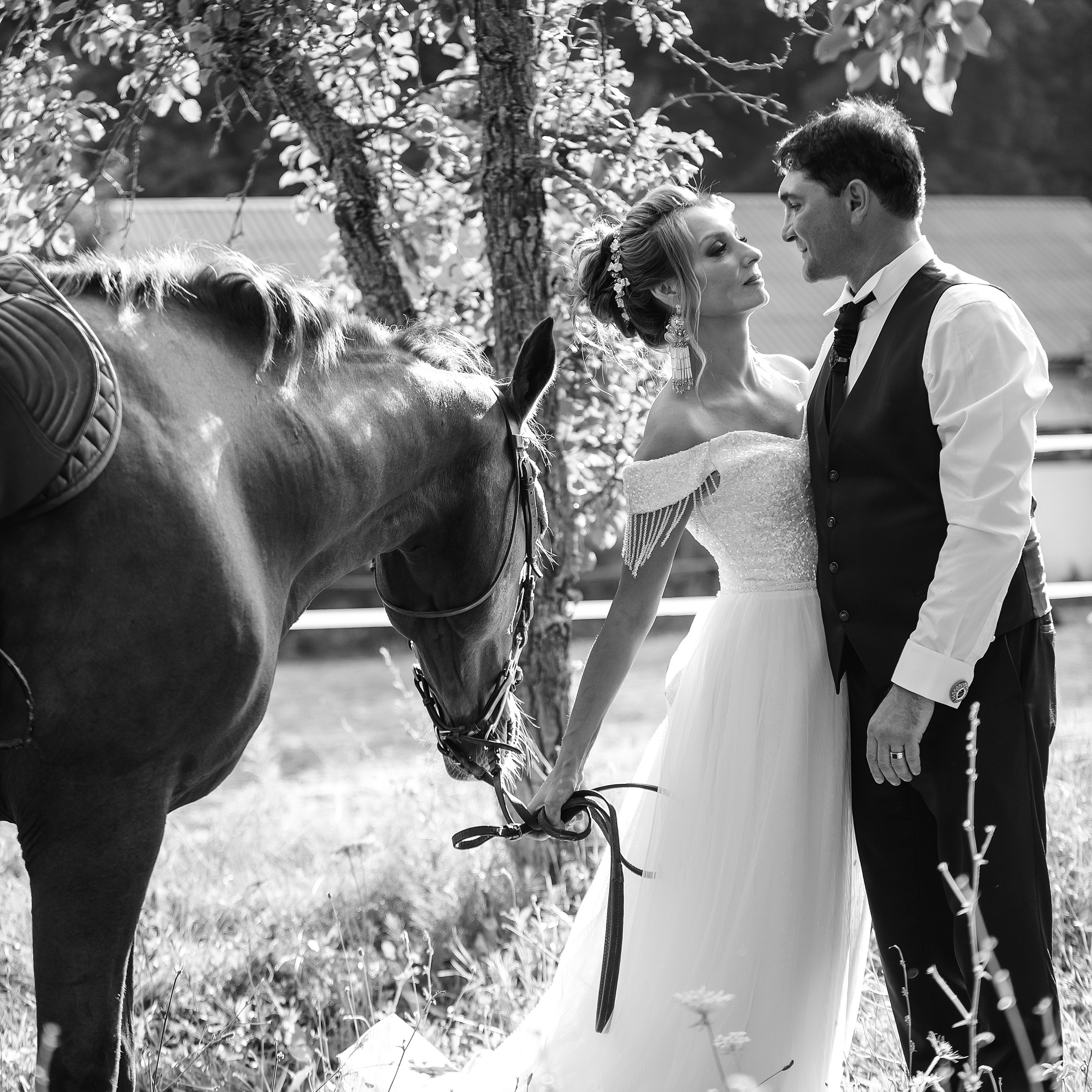 Отзывы. Свадебный фотограф в Крыму Александр Богомазов