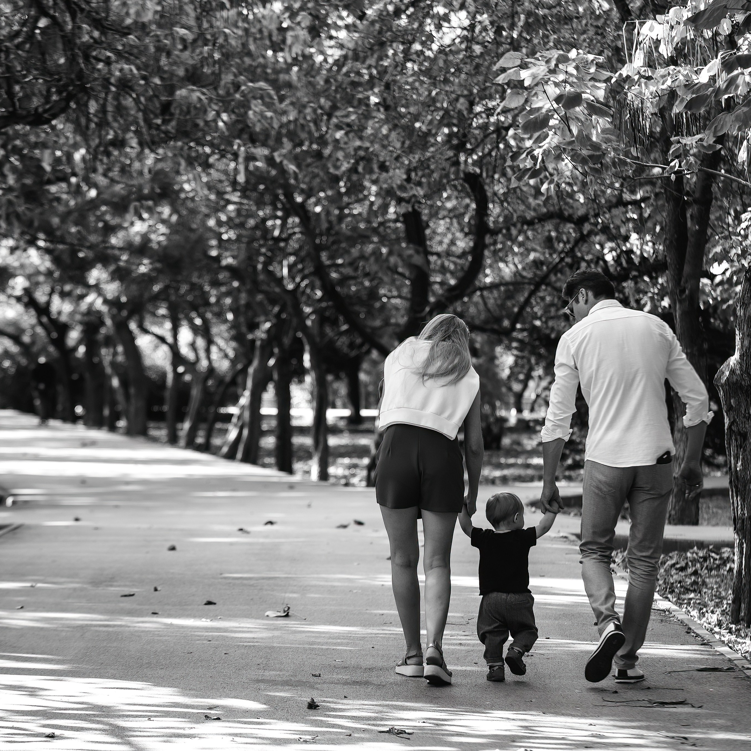 Отзывы. Свадебный фотограф в Крыму Александр Богомазов