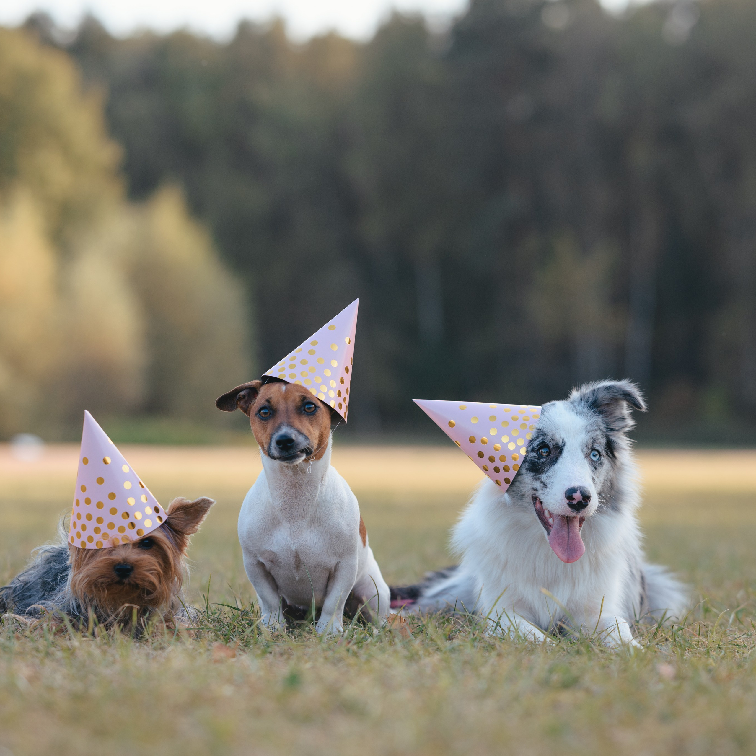 День Рождение