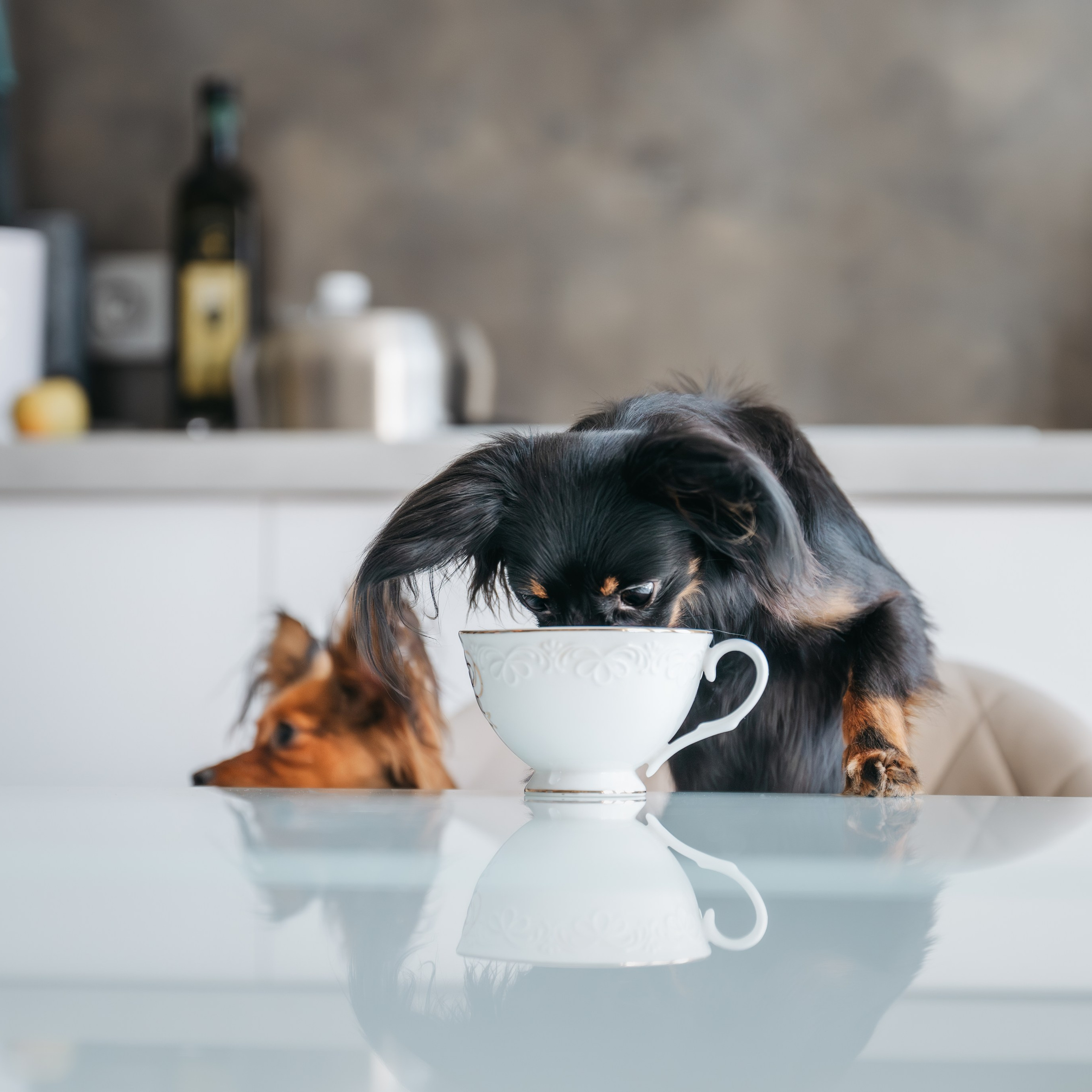 Домашняя съемка