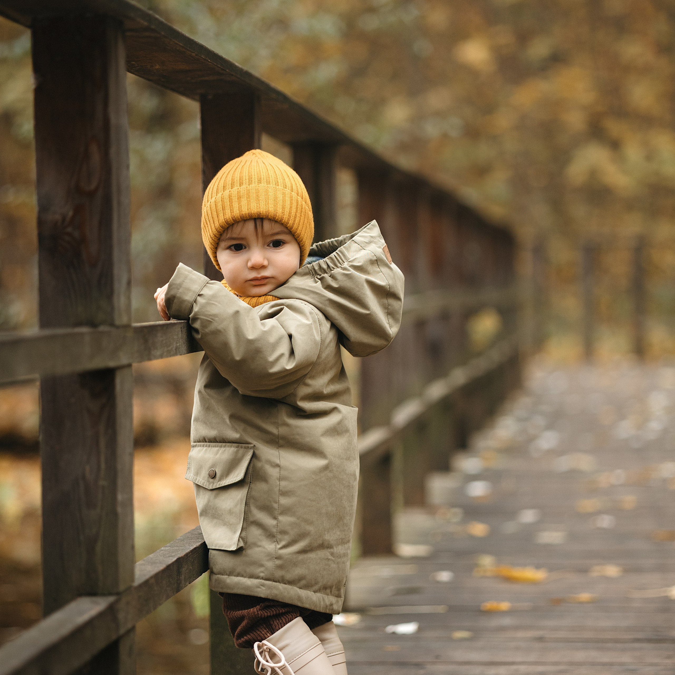 Осень в Нескучном саду (в обработке)