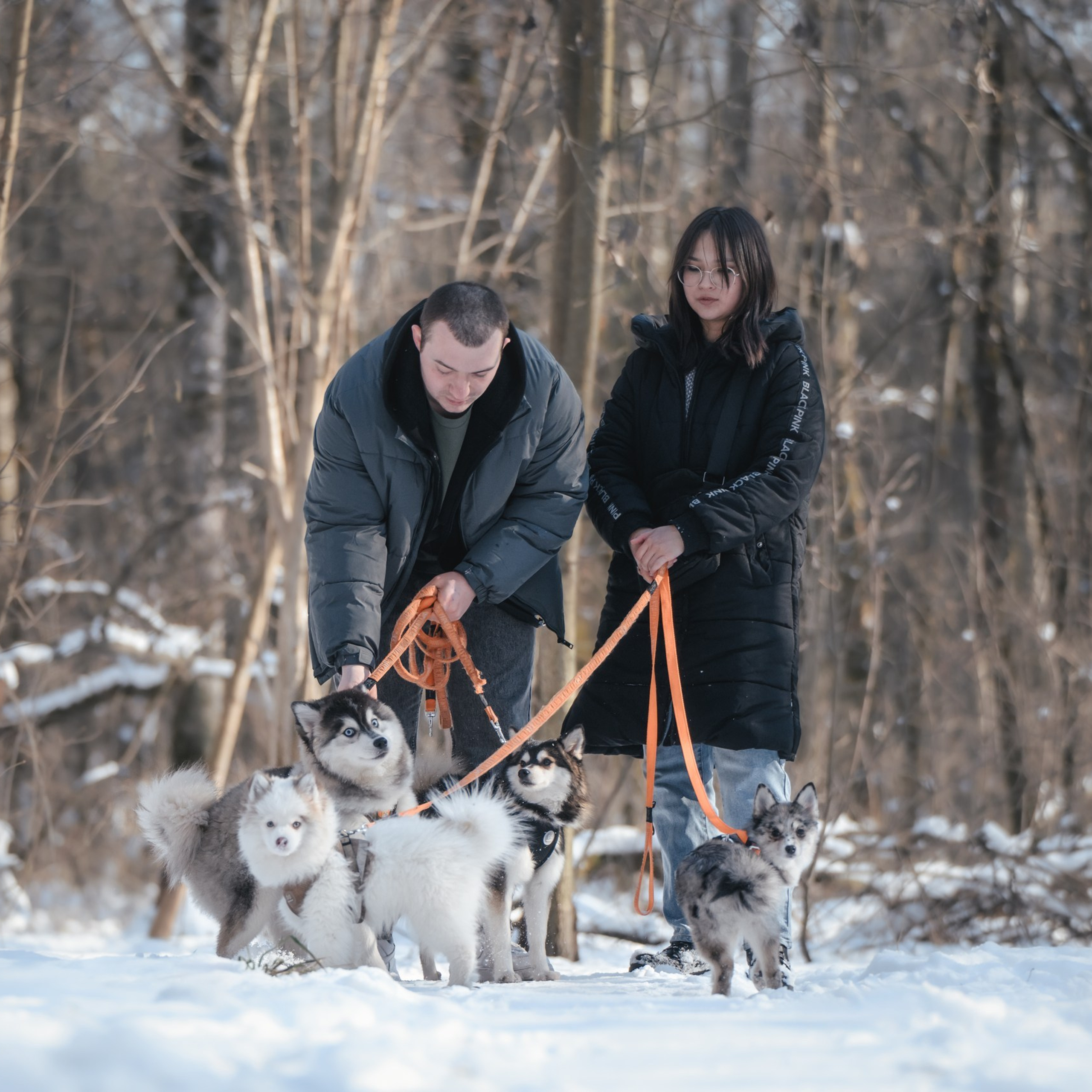 Виктория и 4 помски