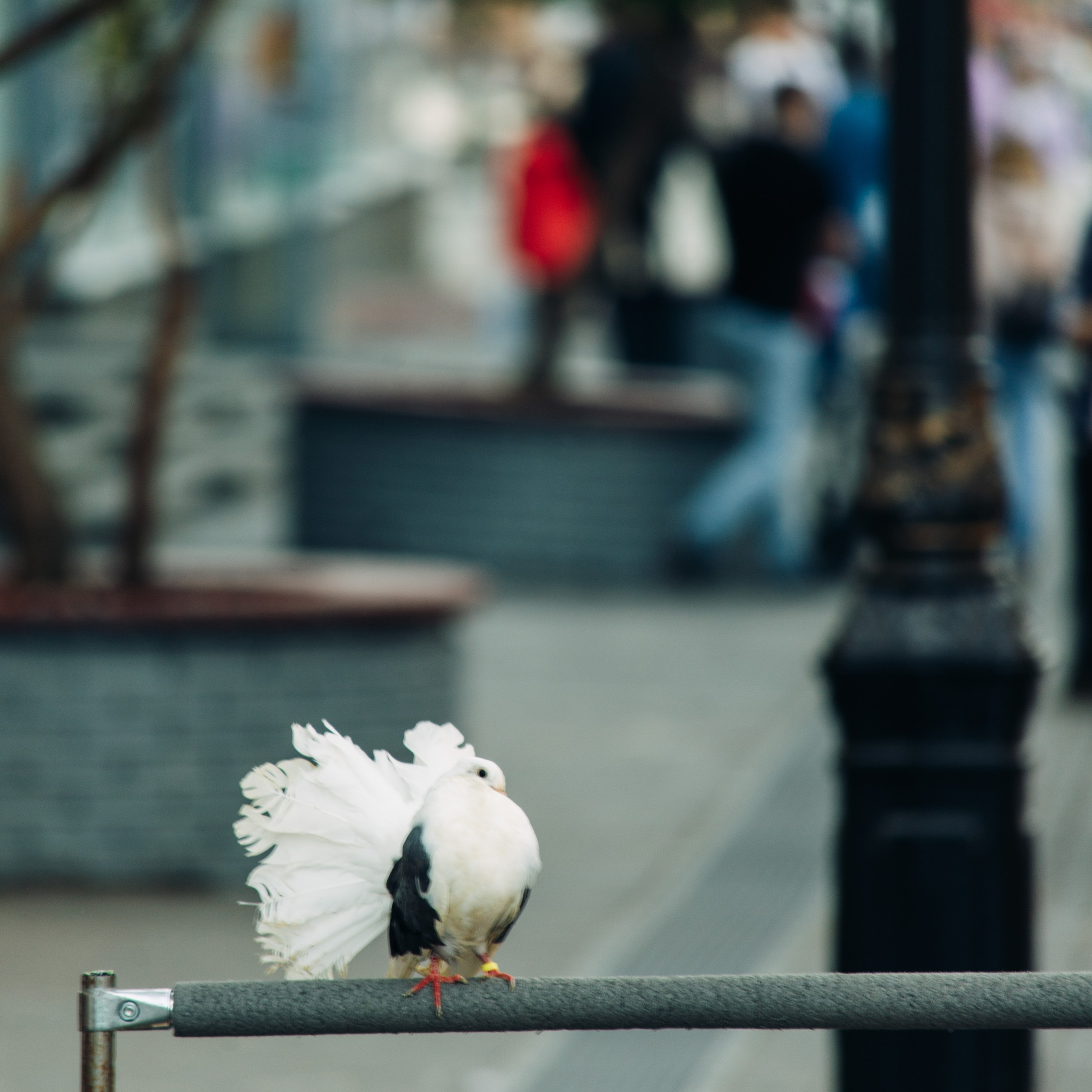 Нижний Новгород