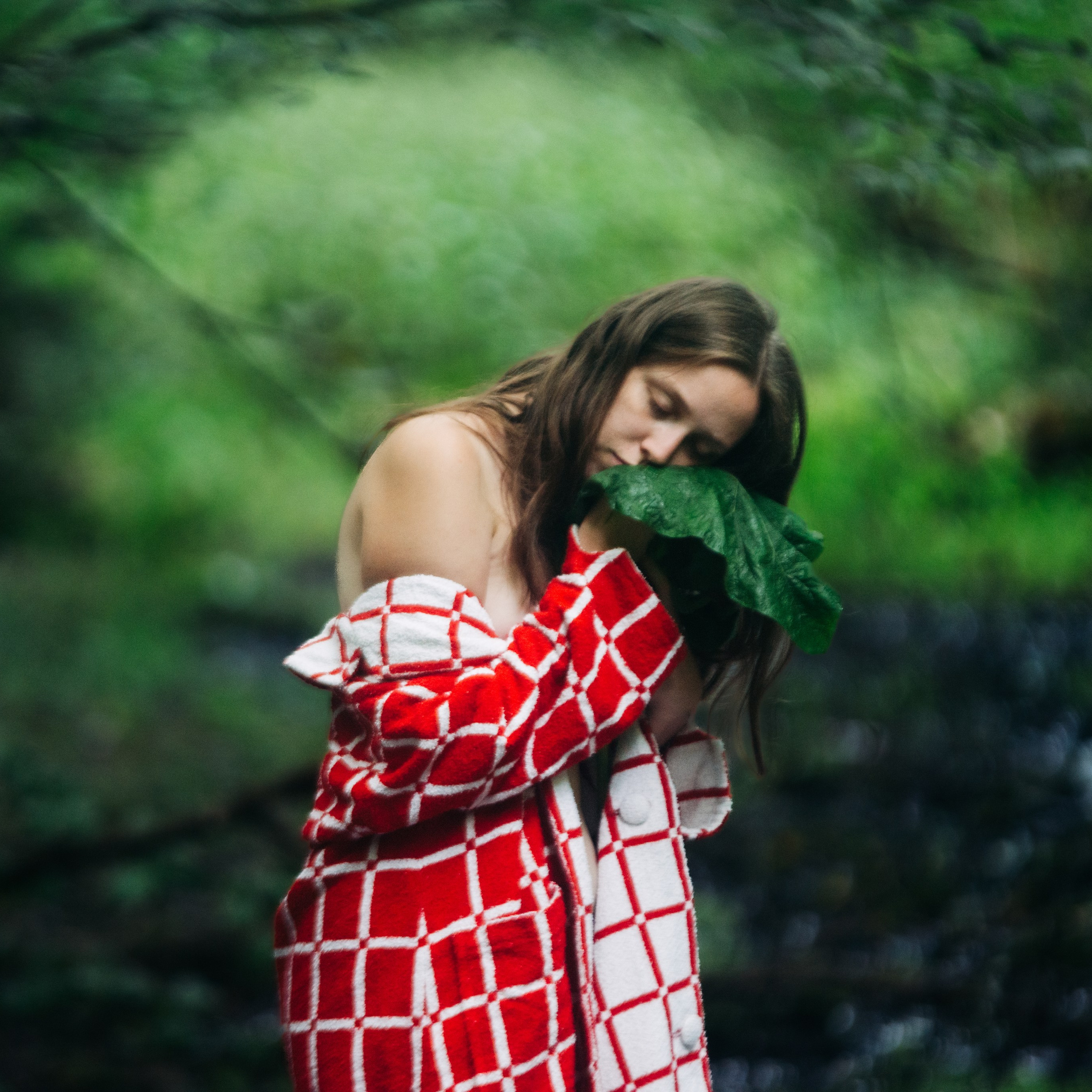 Красное на зелёном