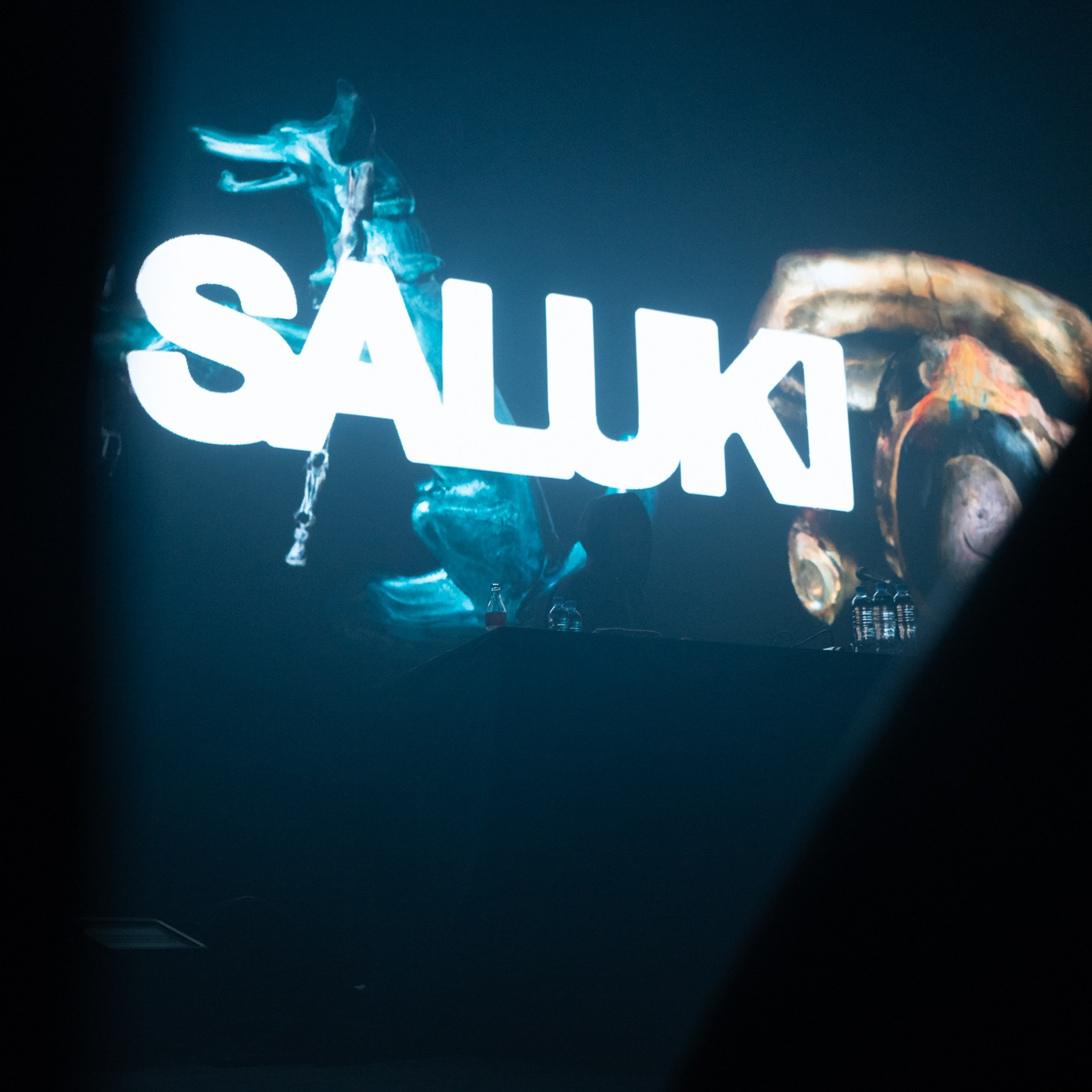 SALUKI