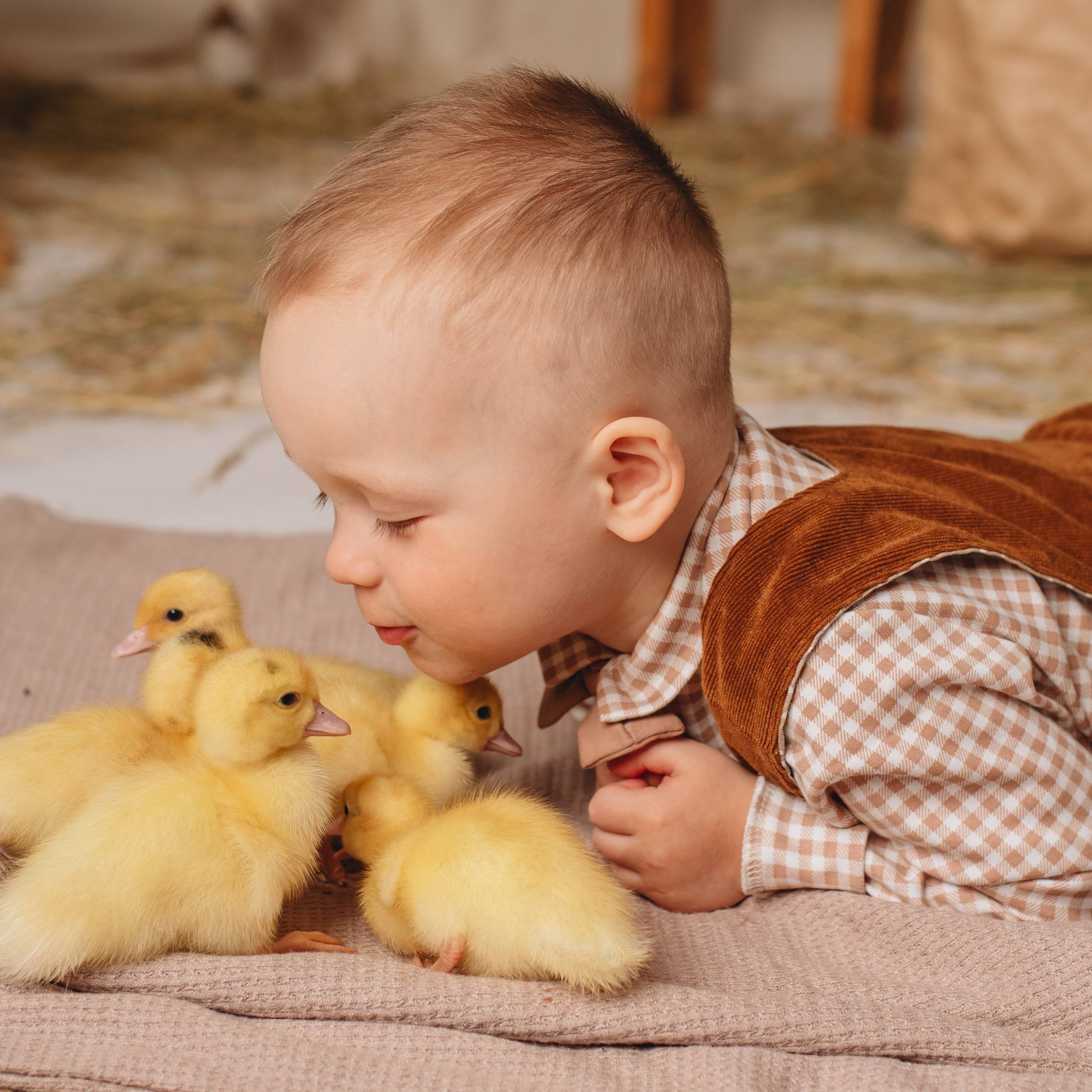 Тематические фотопроекты