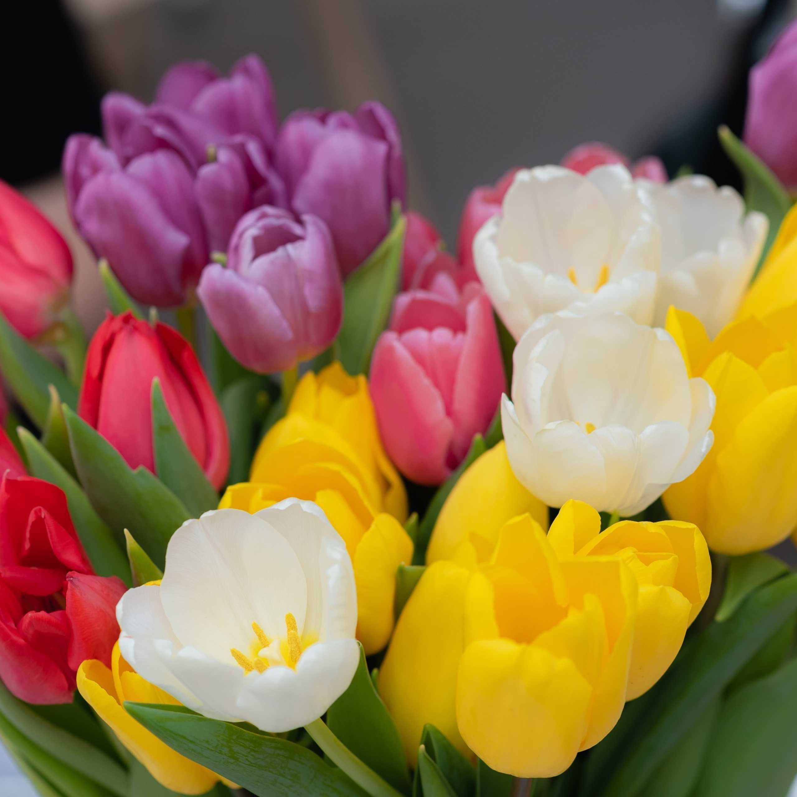 Свадебный фотограф с отзывами. Свадебный фотограф в Москве и Московской области Елена Четоркина