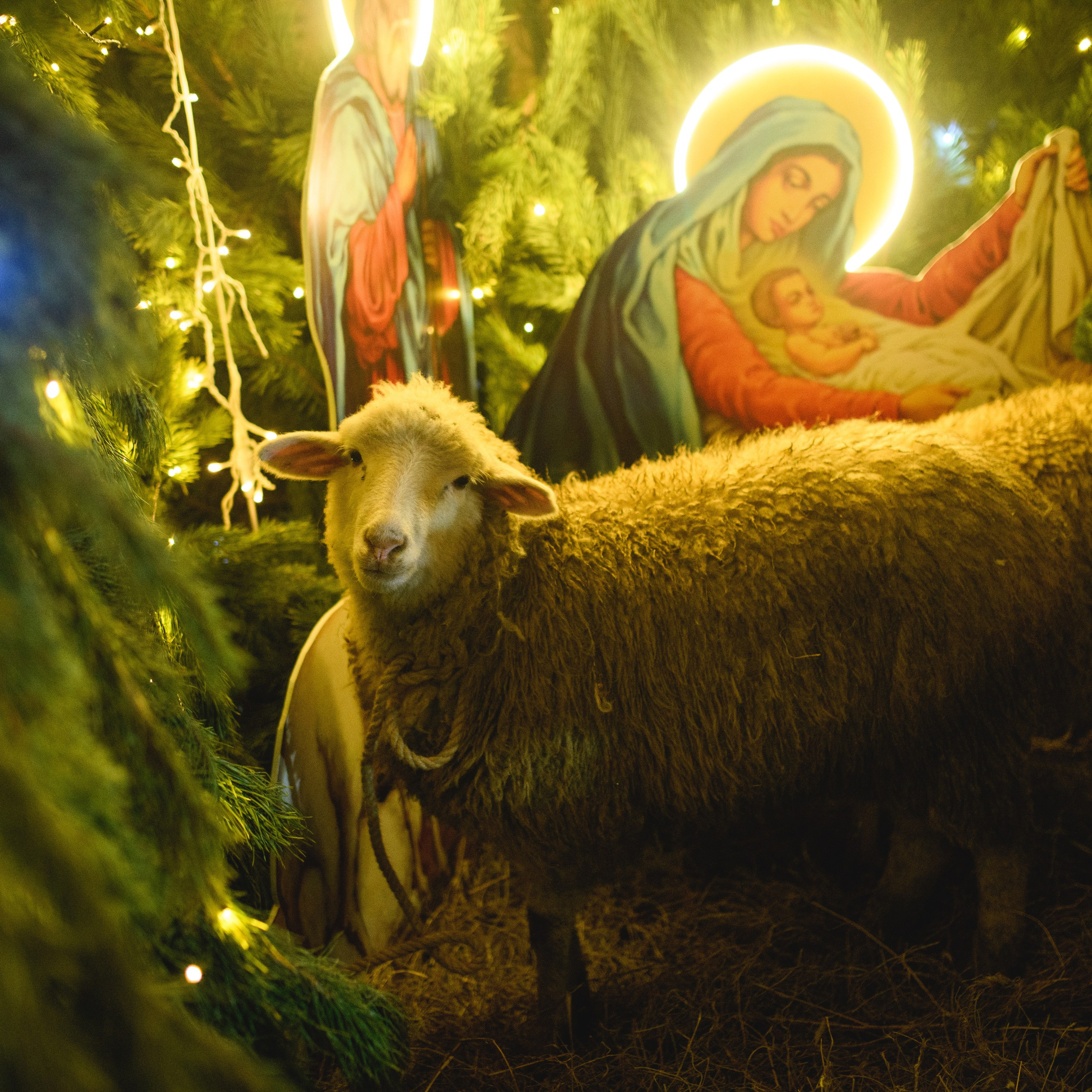 Рождество Христово 7.01.2024