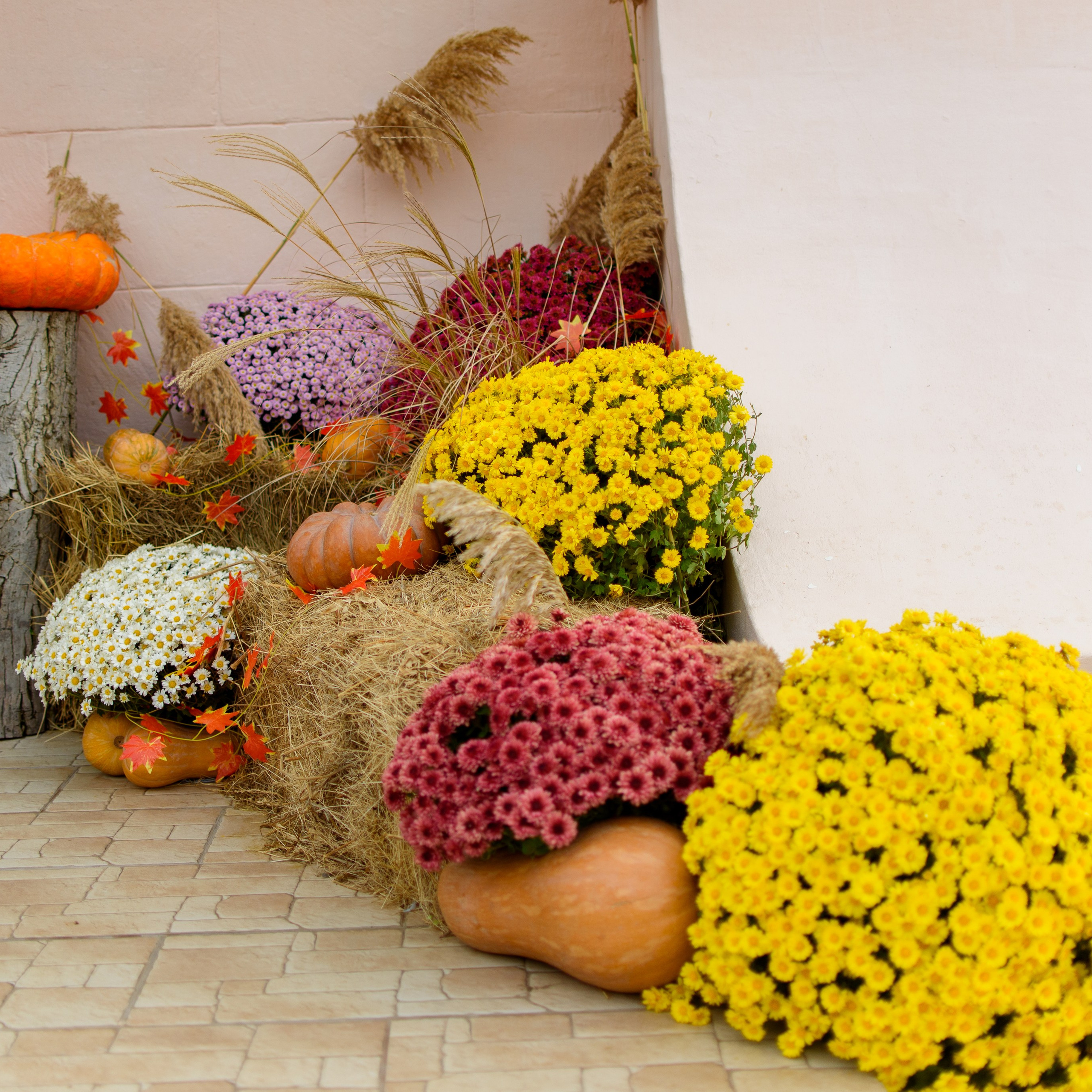 Отзывы. Семейный и свадебный фотограф в Феодосии и Коктебеле