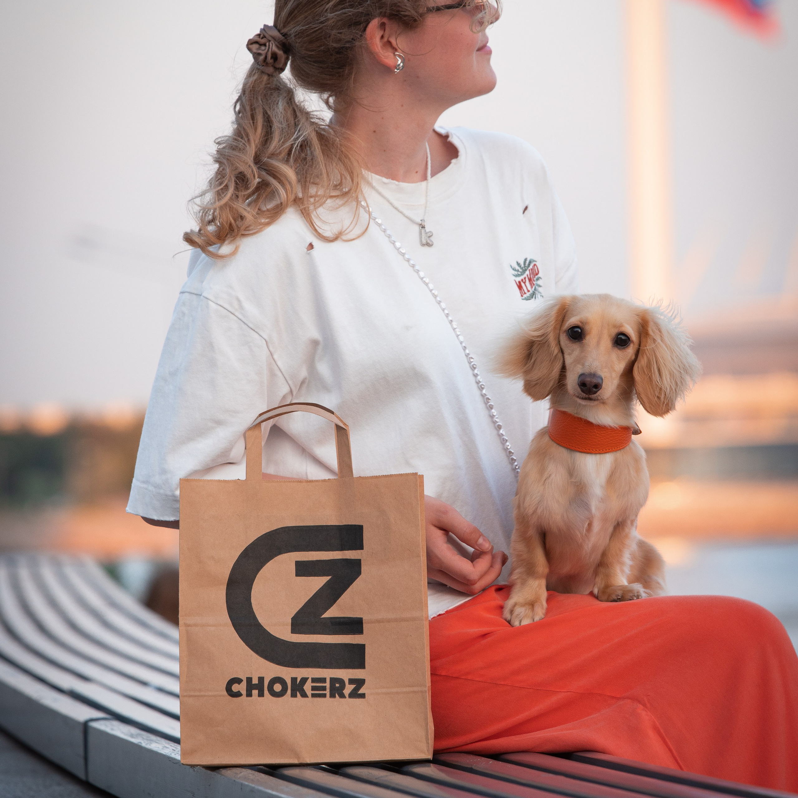 Питомцы с хозяином