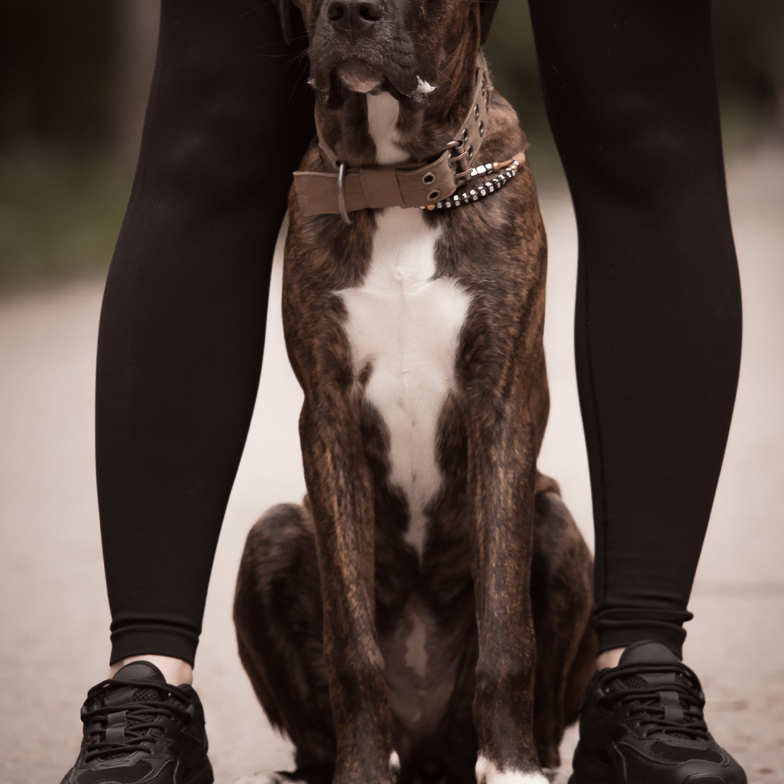 Фотограф-анималист в Санкт-Петербурге Анастасия Иванова