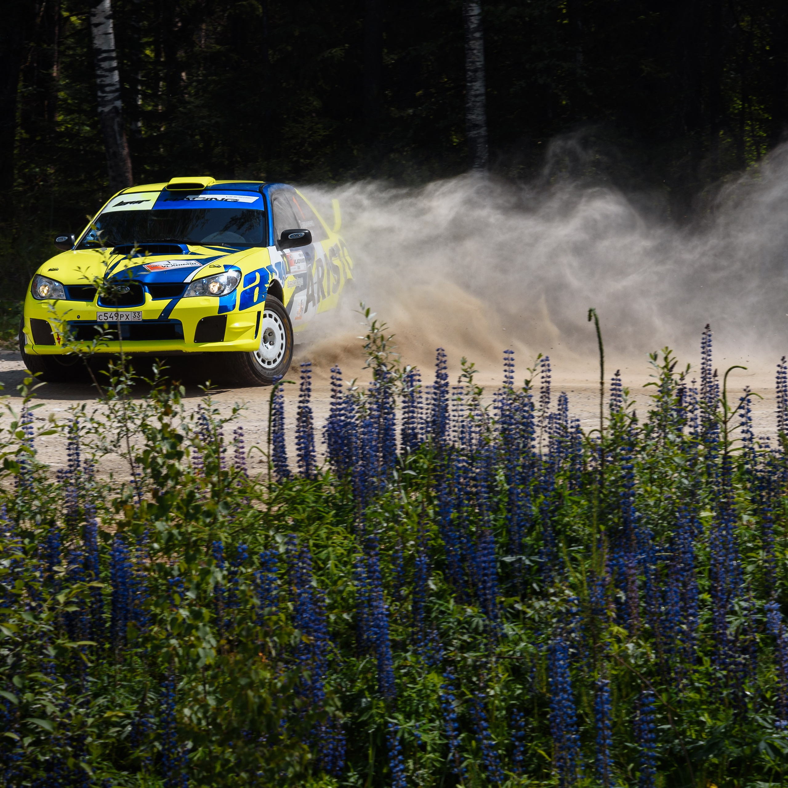 2023 Этап ралли Open Rally Cup «Золотые Ворота»