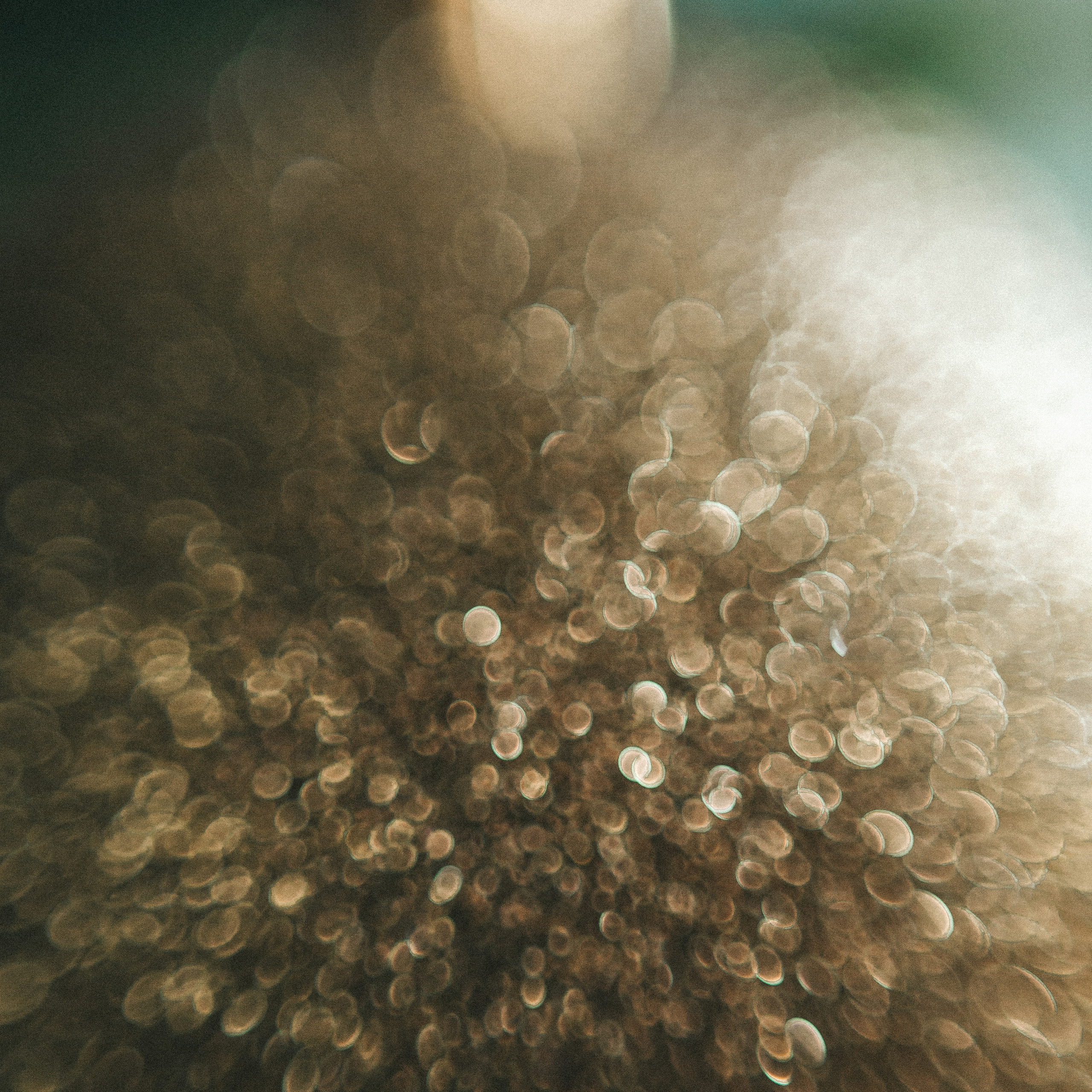 Отзывы. Свадебный фотограф Ирина Поздеева в Томске/Северске