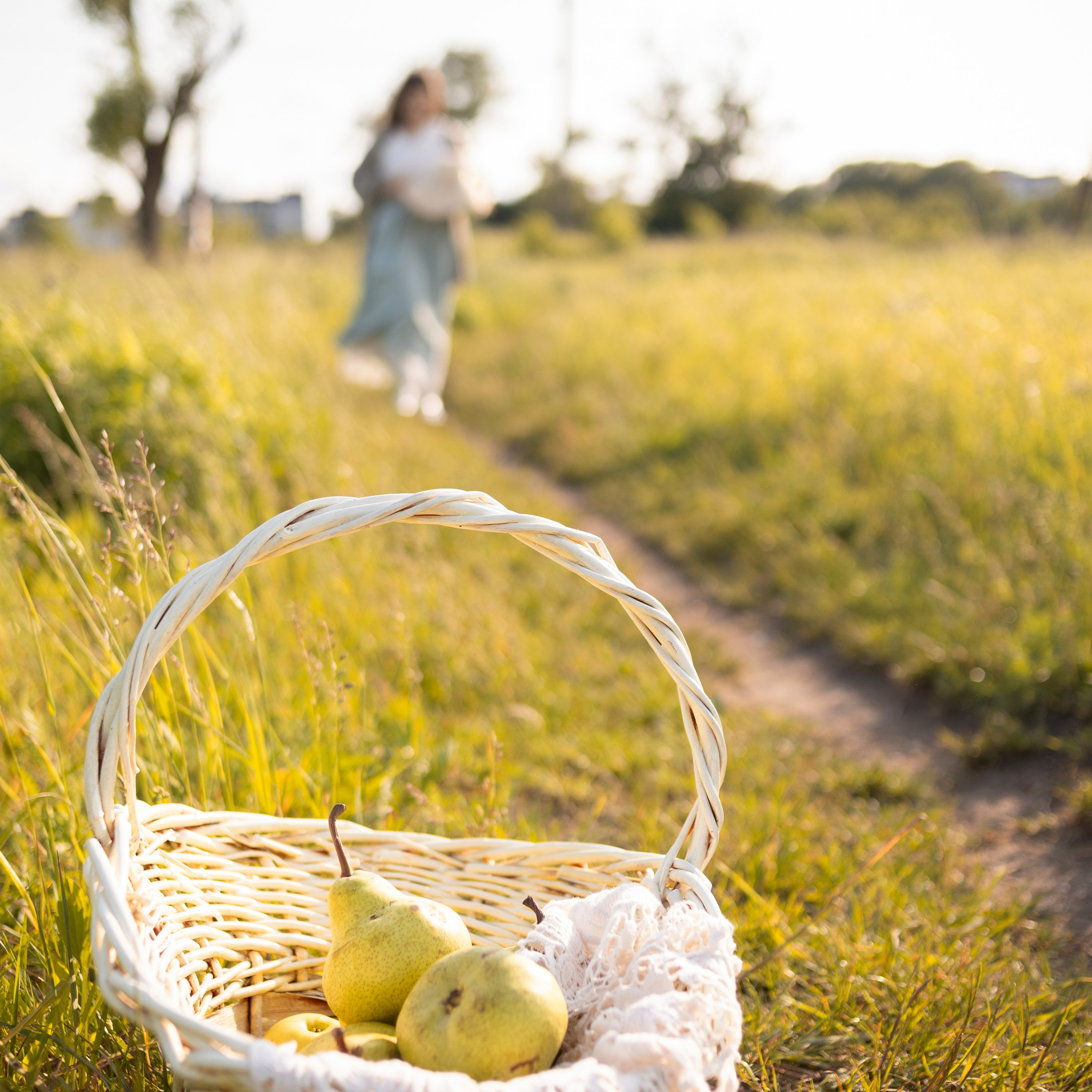 Алина пикник