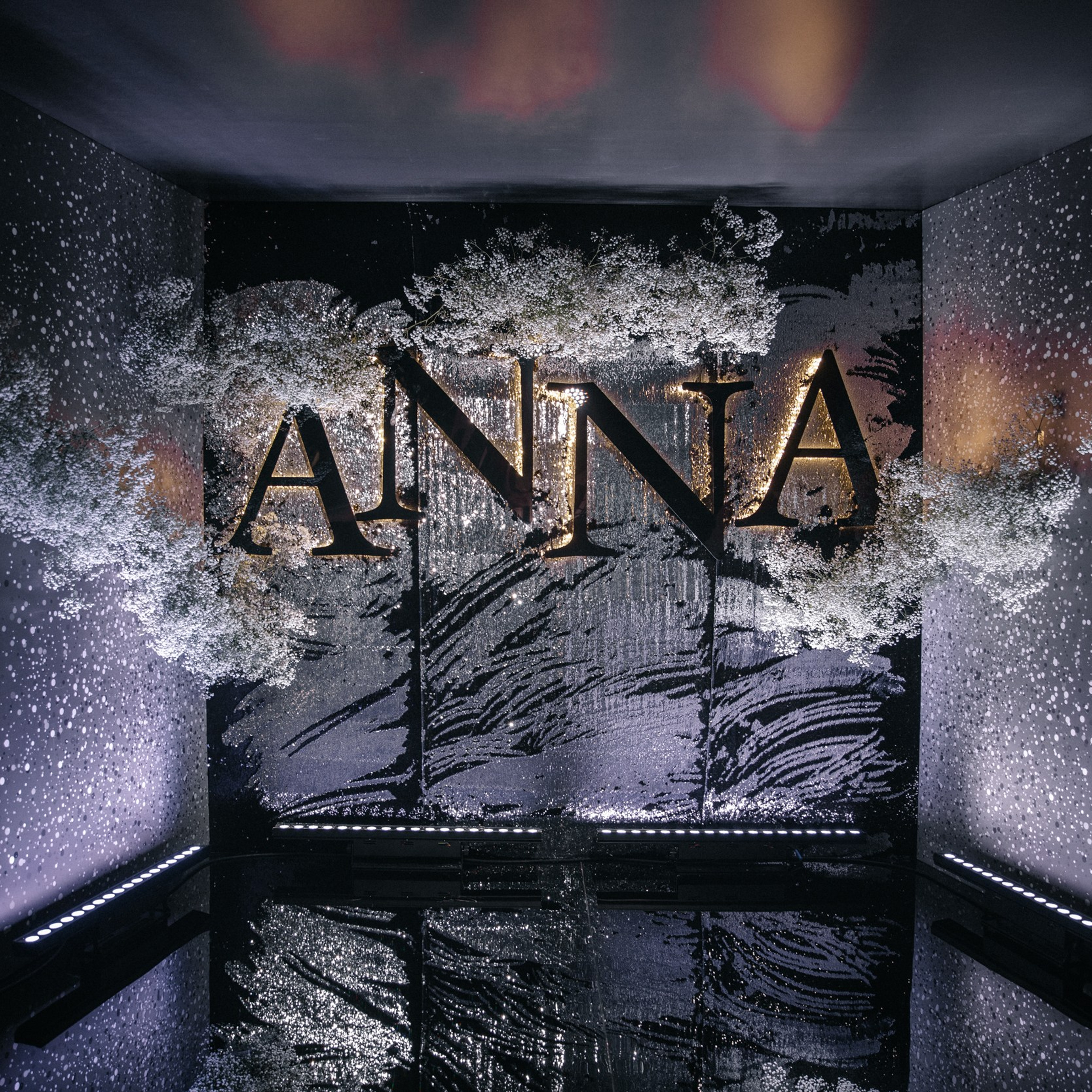 День рождения Анны