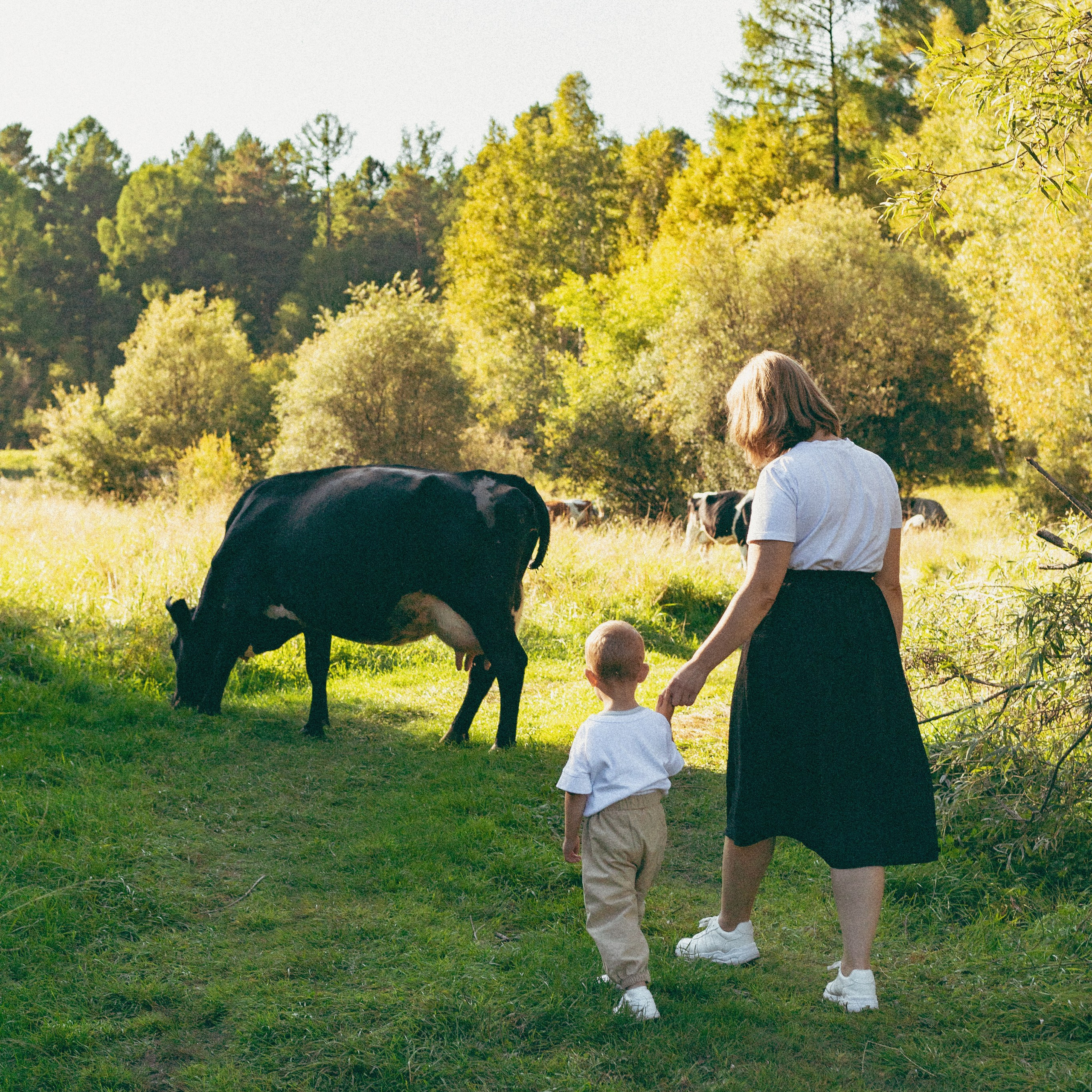 Семейная фотосессия на природе в Ангарске