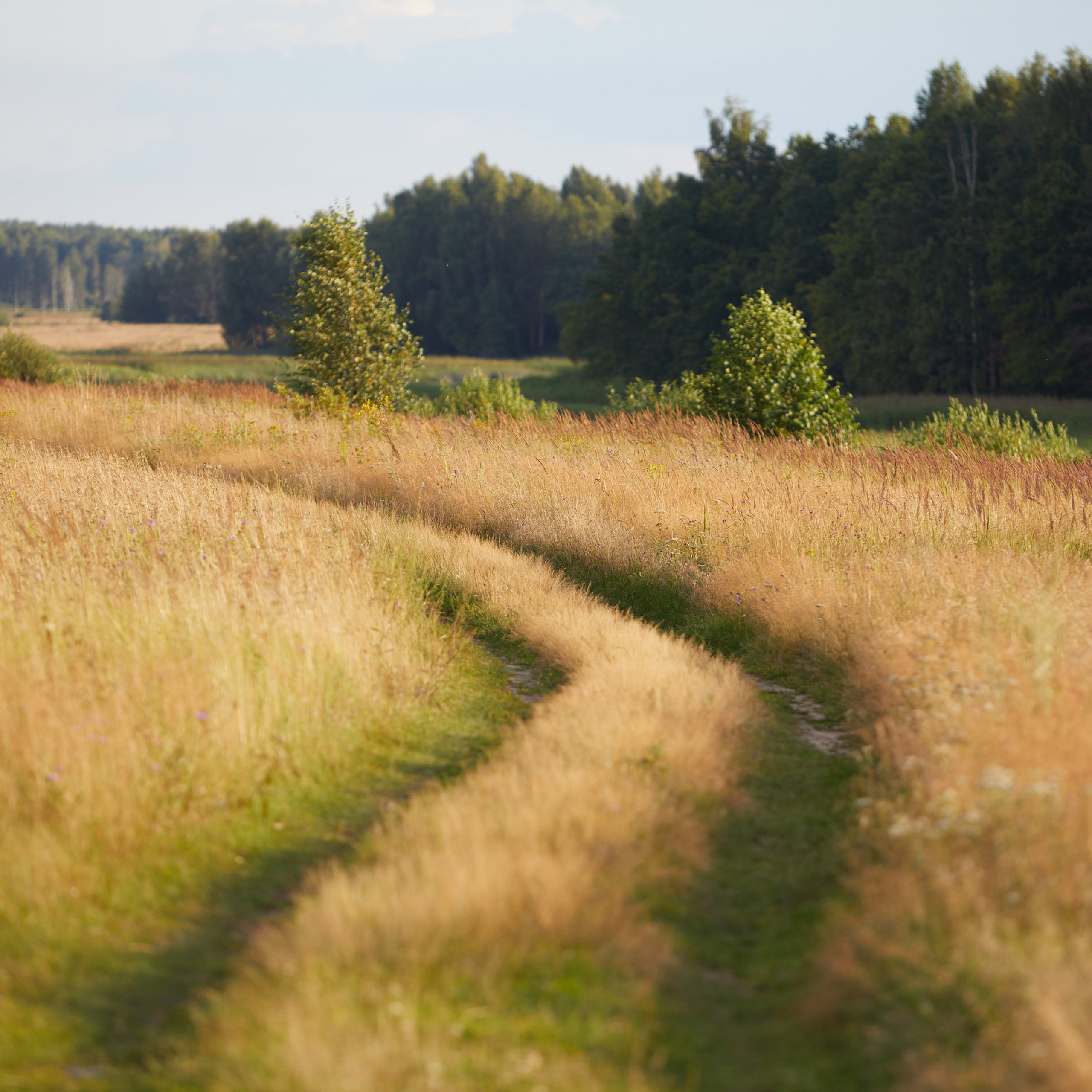 Recall. Photographer for business Mikhail Semenov. Aqua photo studio, photo school