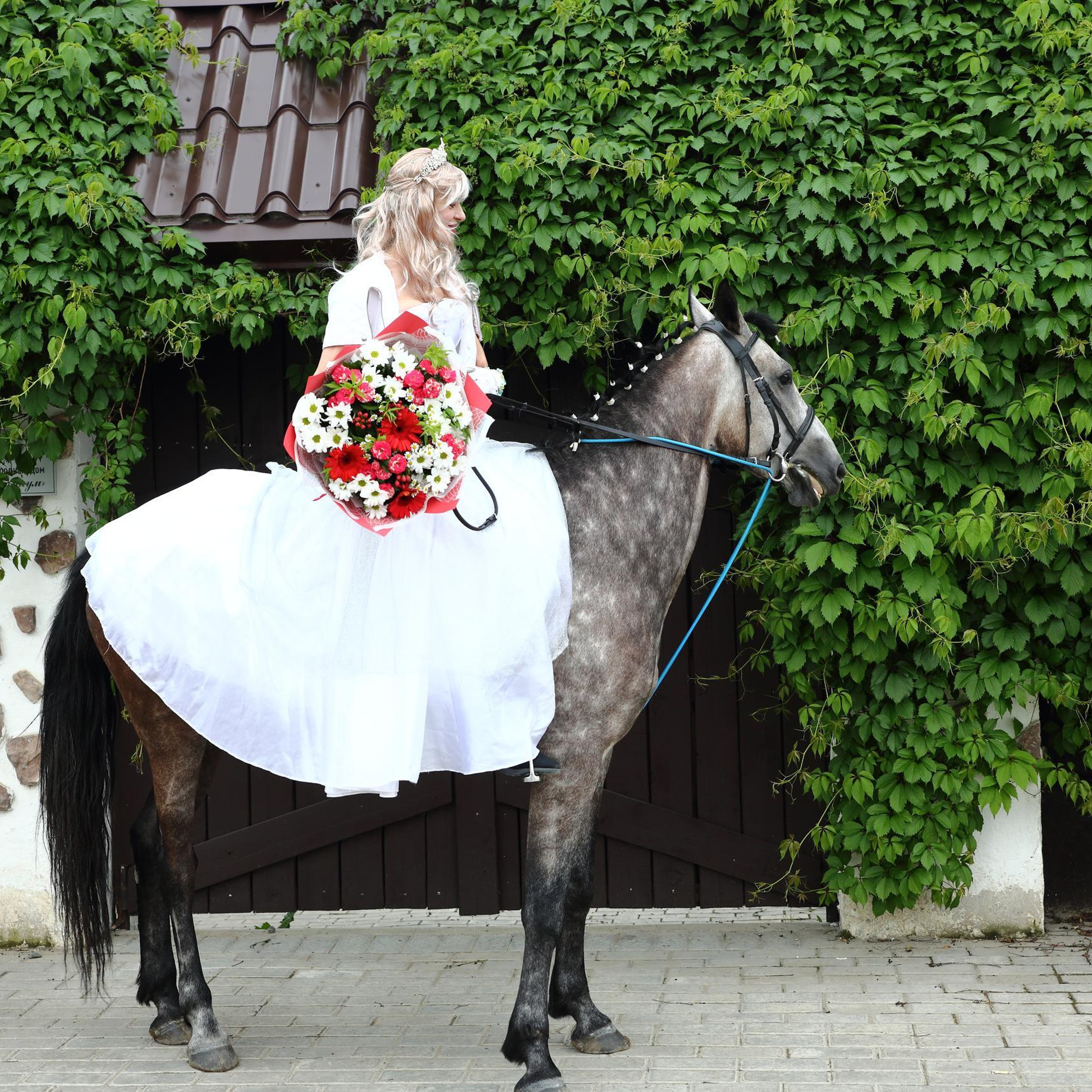 Feedback. Photograher in Ufa Nikolai Golovanov