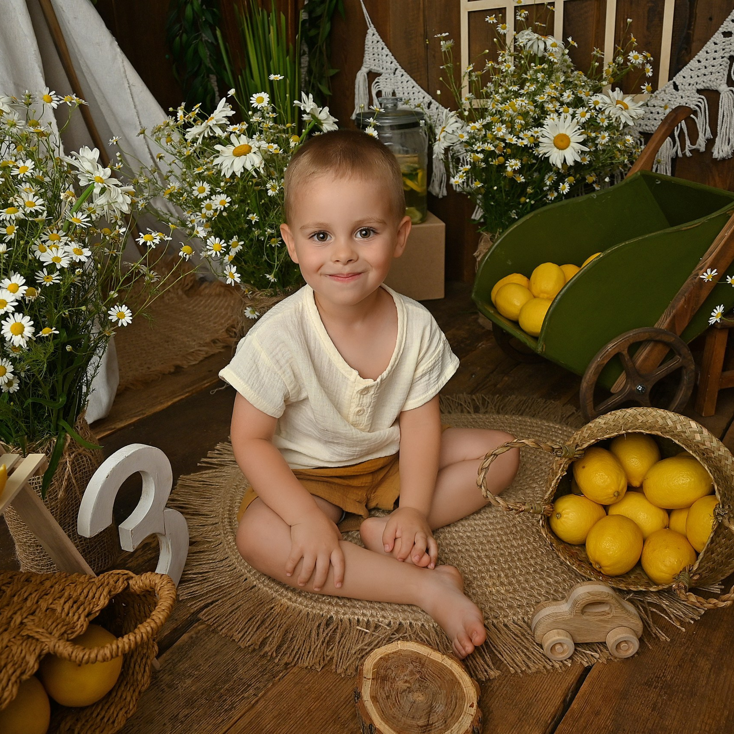 Ромашки&лимоны