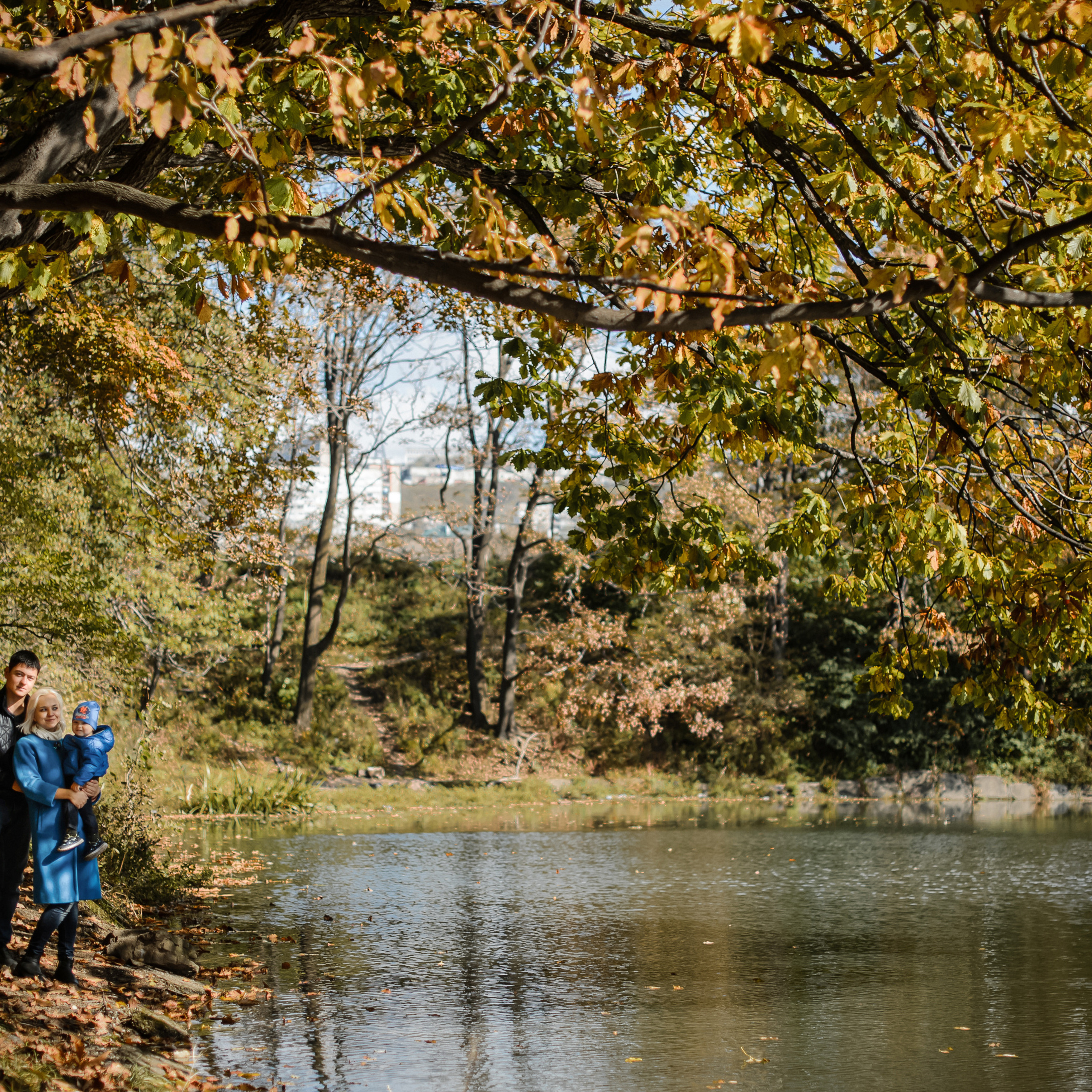 Золотая осень