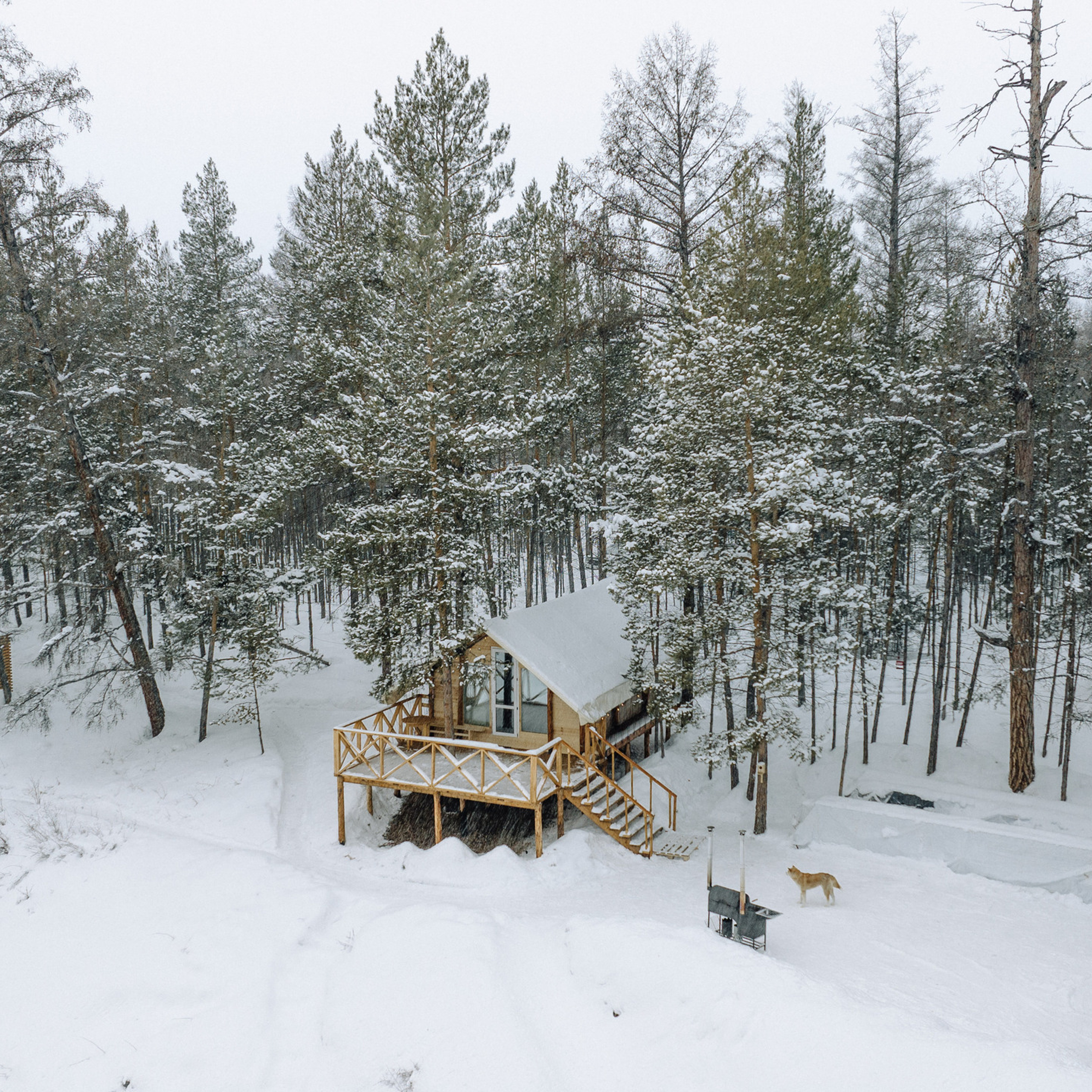 Отзывы. Свадебный и семейный фотограф в Якутске