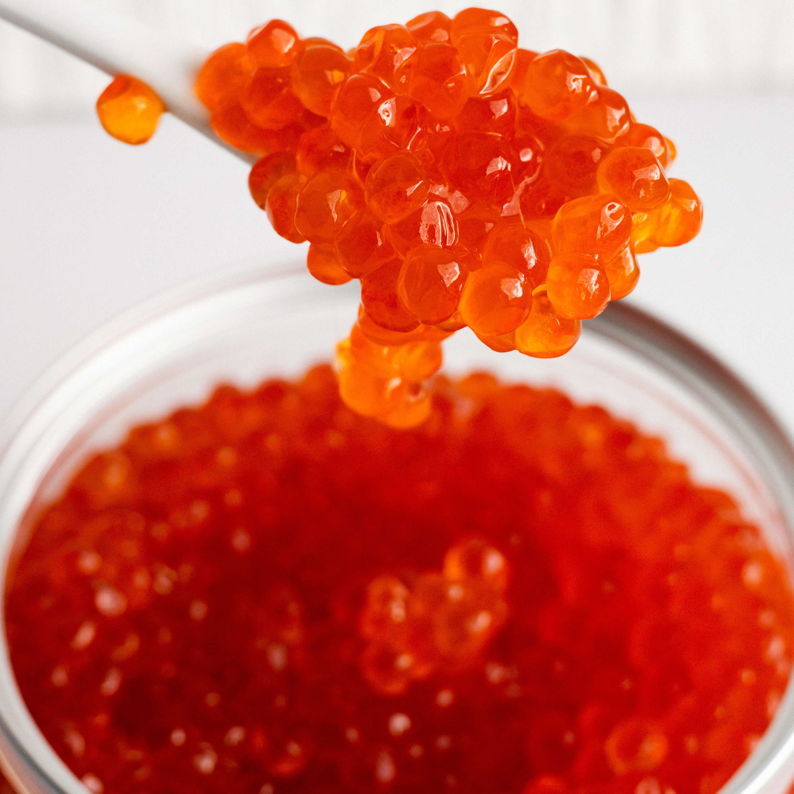 Отзывы. Фотограф НСК-Кем-СПБ Александра Фомич