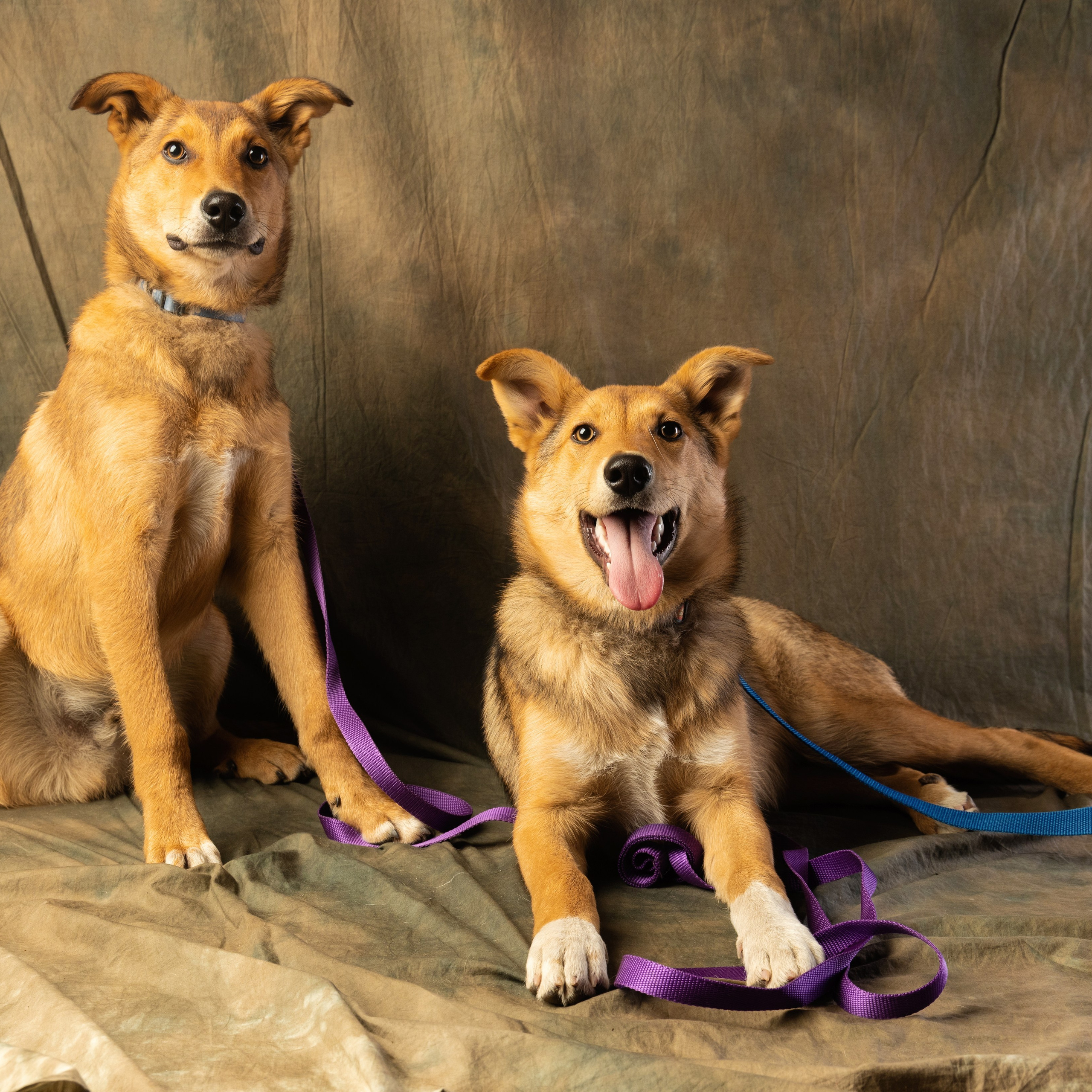 Отзывы. Фотограф НСК-Кем-СПБ Александра Фомич