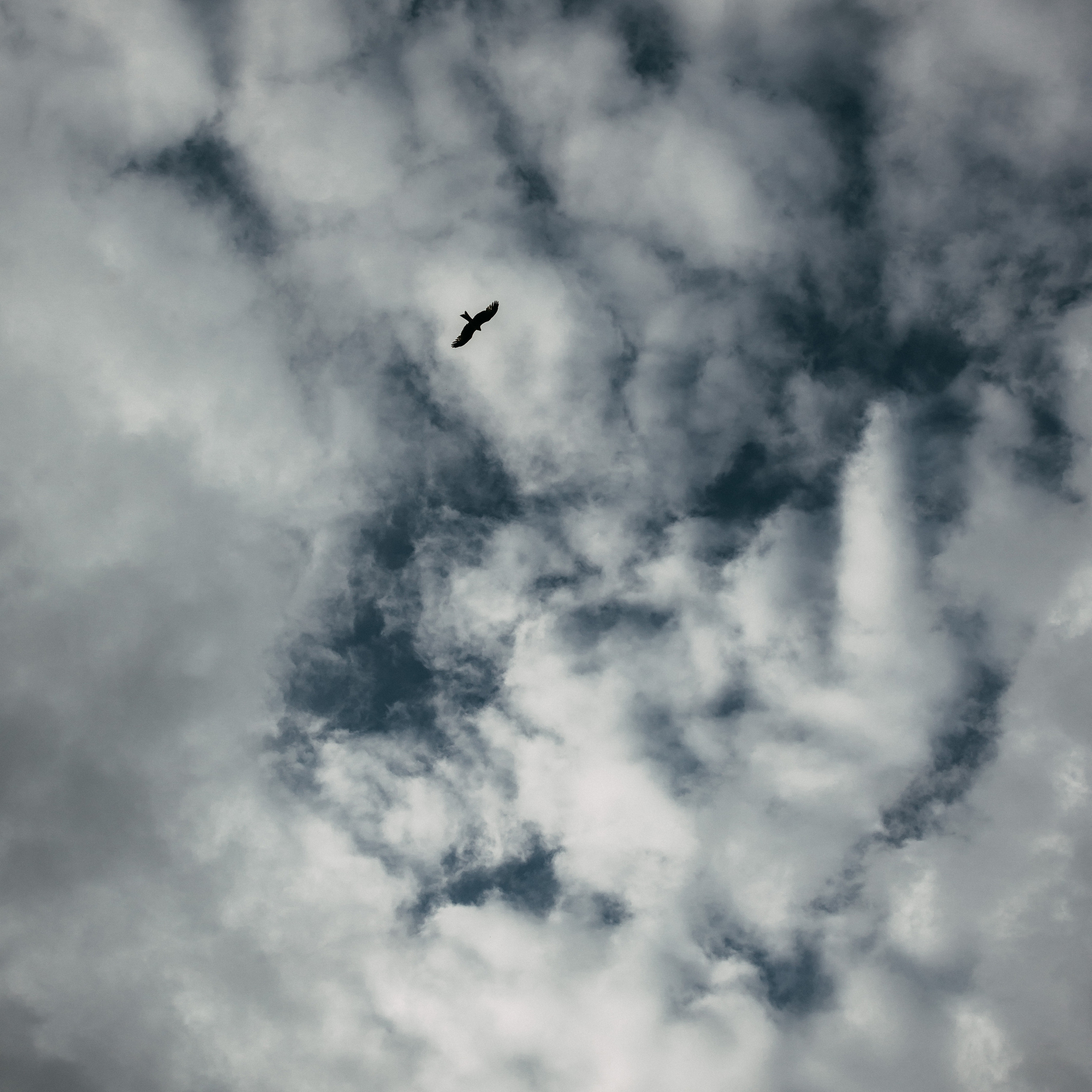 Большие Аллаки. Семья