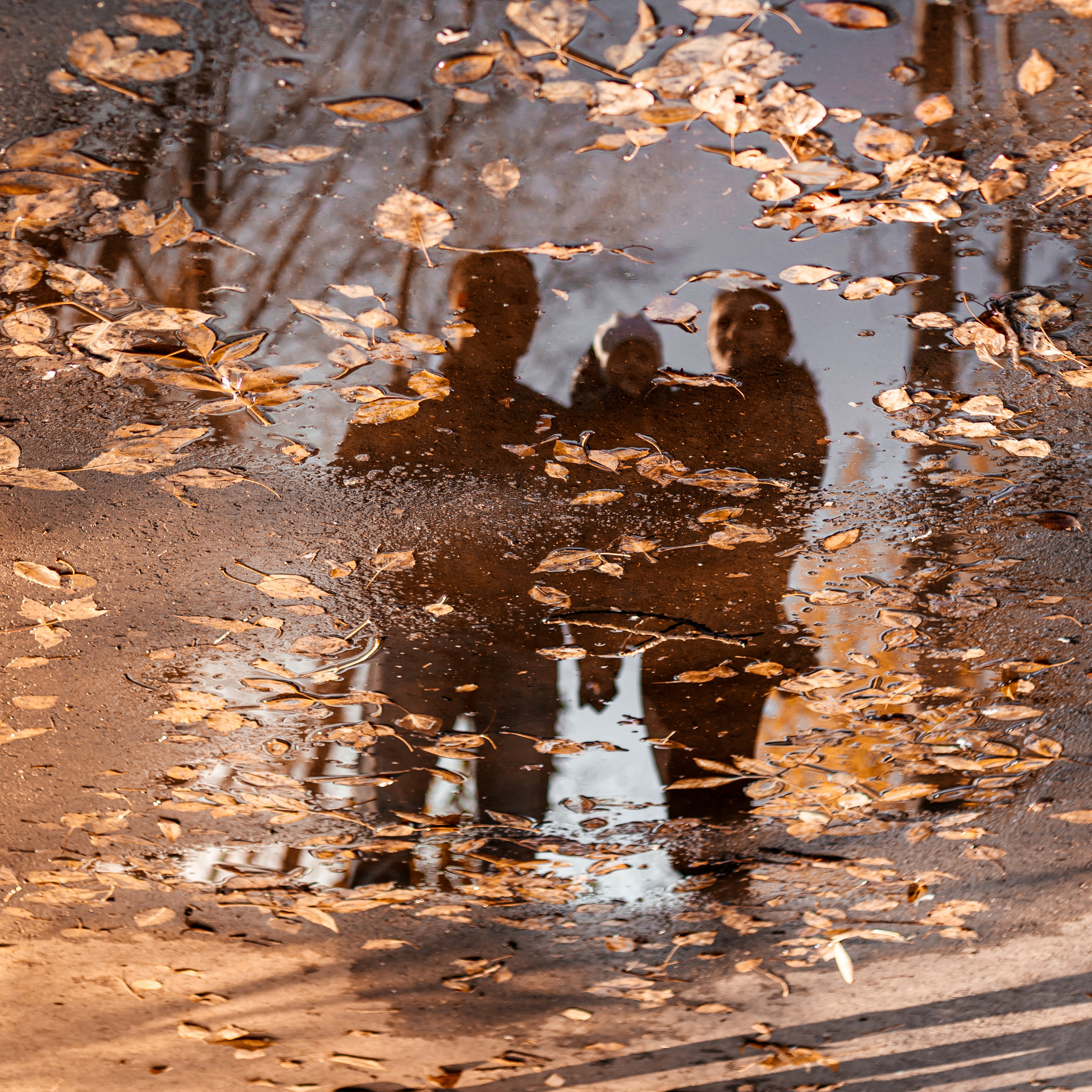 Алексей, Алла, Юля