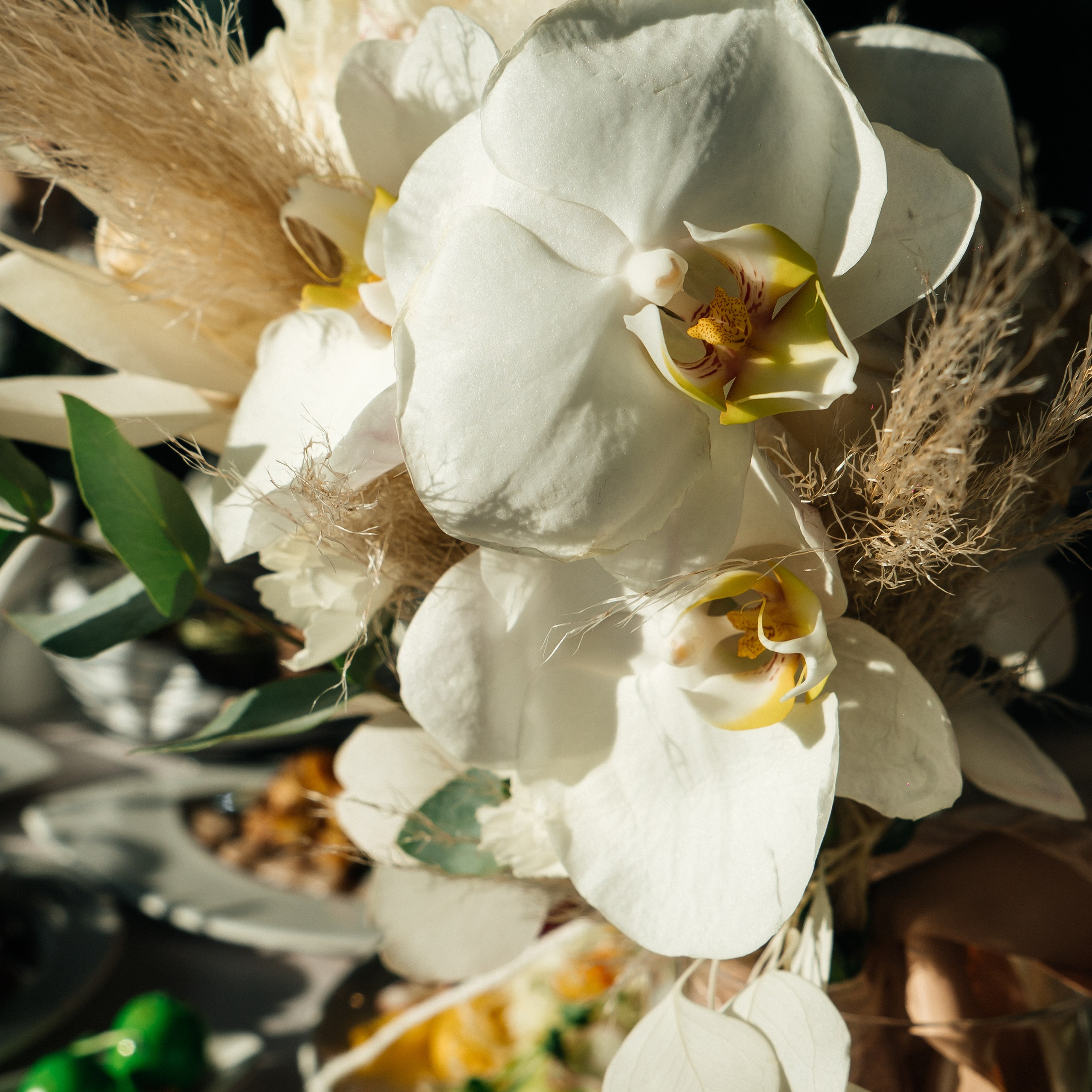 Свадебный фотограф-видеограф в Архангельске. Фотохудожница Lana Contra