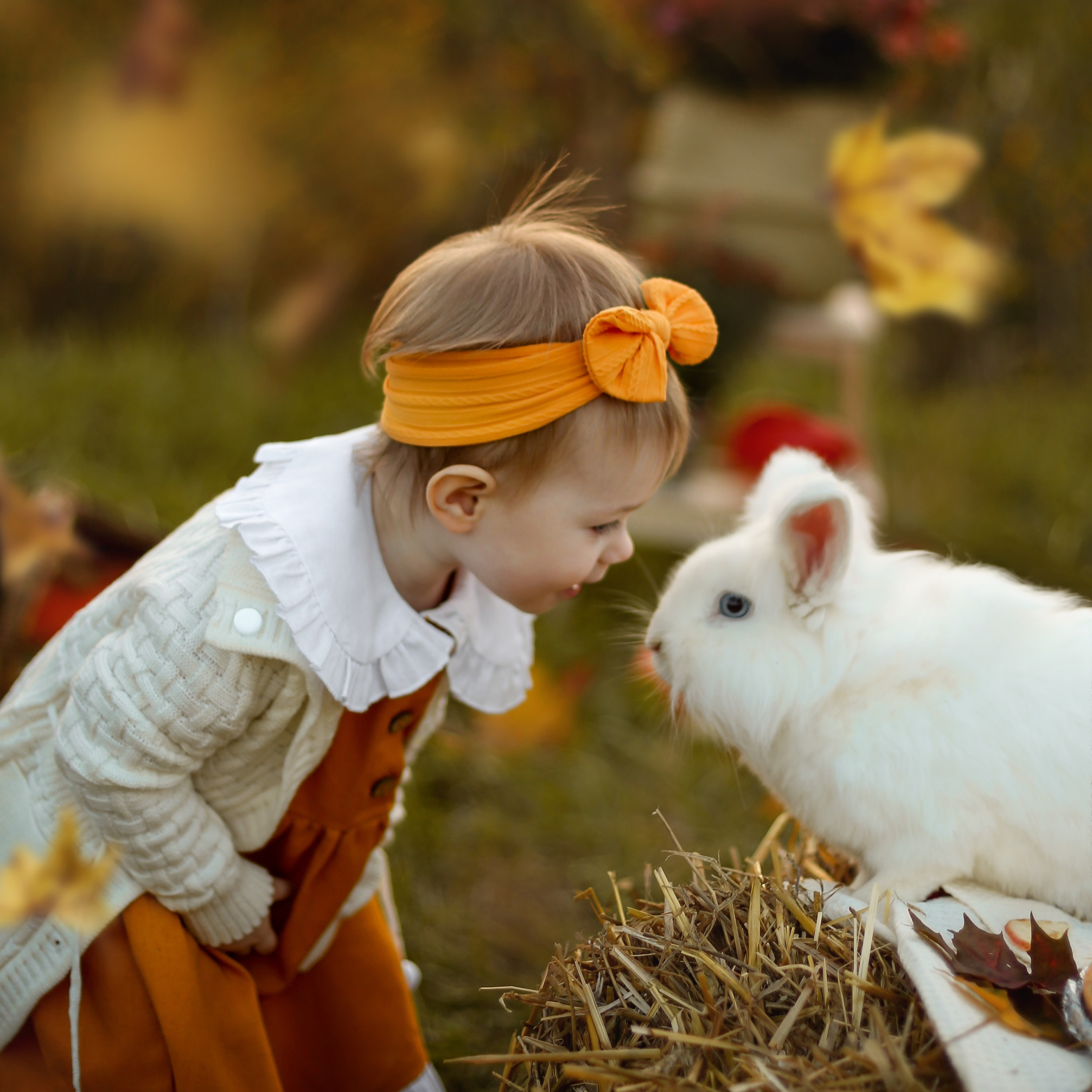 Осенний пикник с&nbsp;кроликом