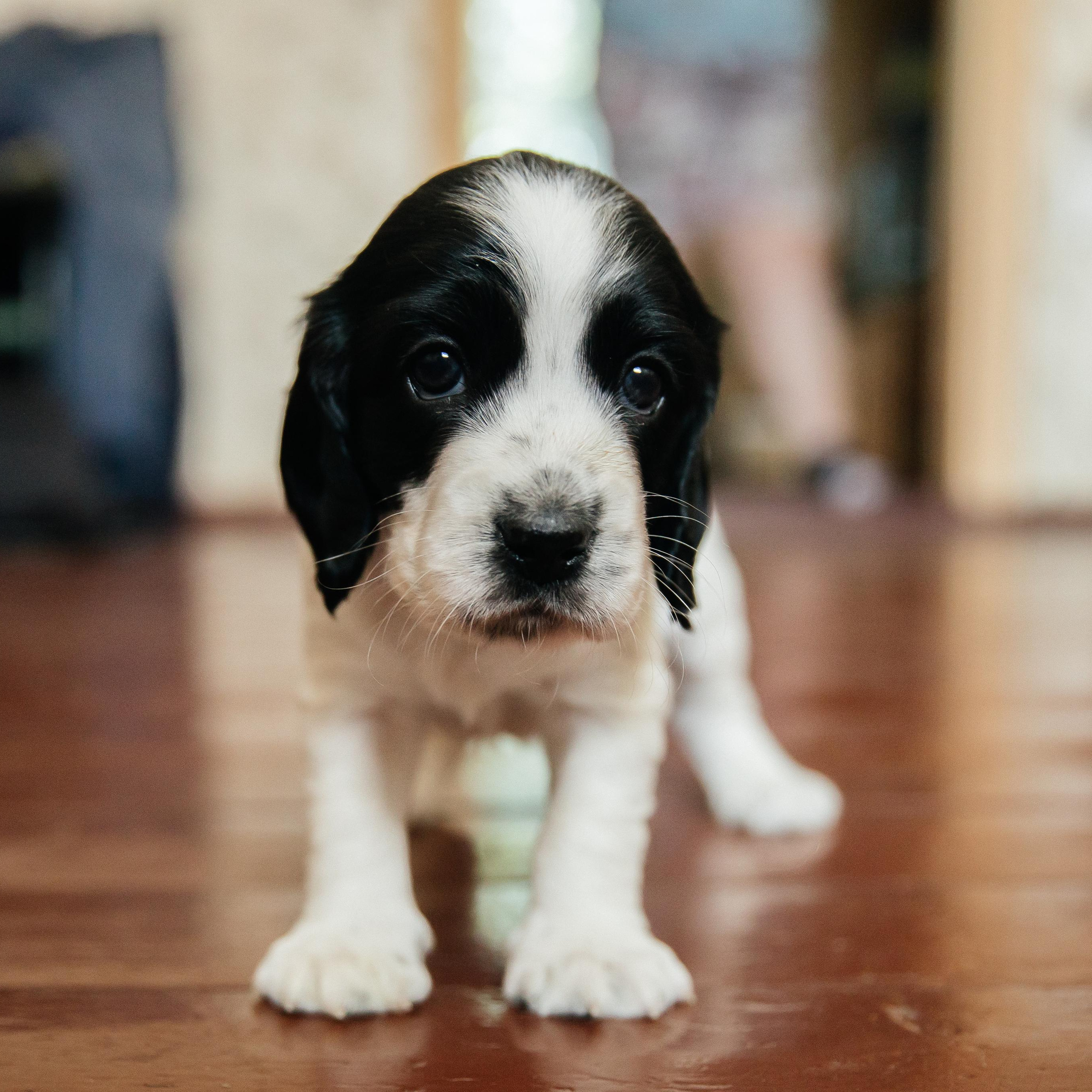 Отзывы. Свадебный фотограф, Екатерина Малова. Фотосессии. Съемка в Спб и ЛО