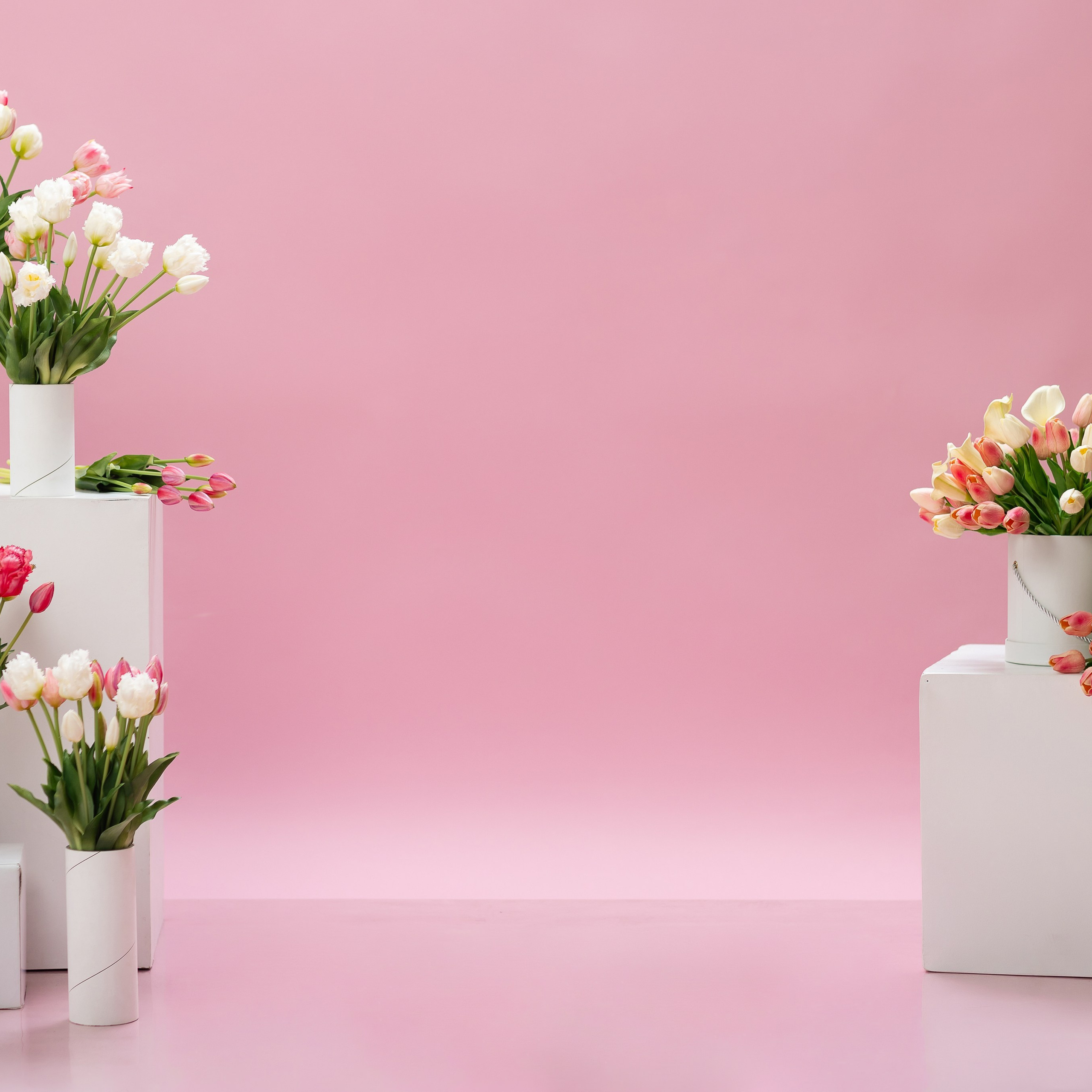 Отзывы. Фотостудия «Ай-Би-эН»