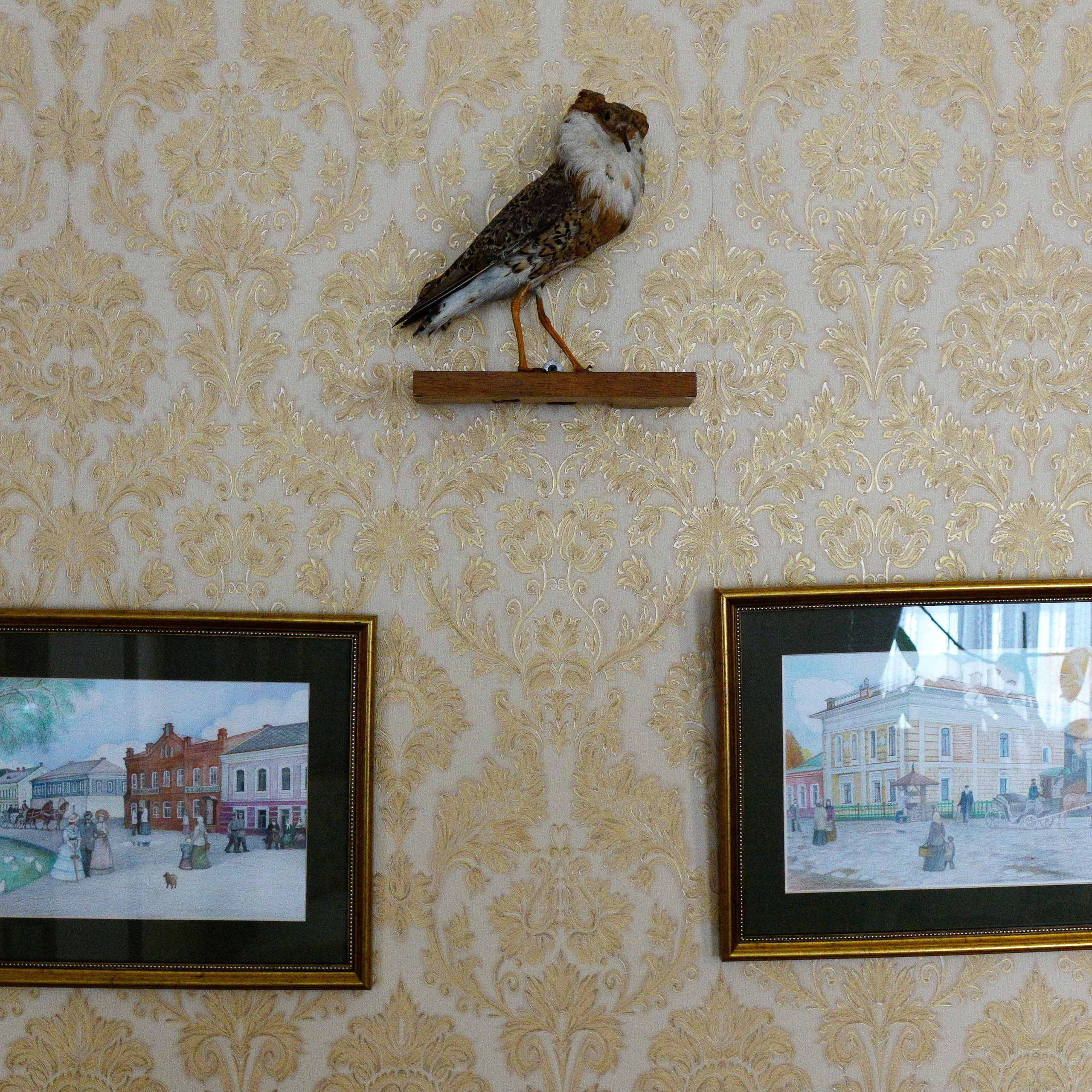 Историко-культурный комплекс «Вятское»