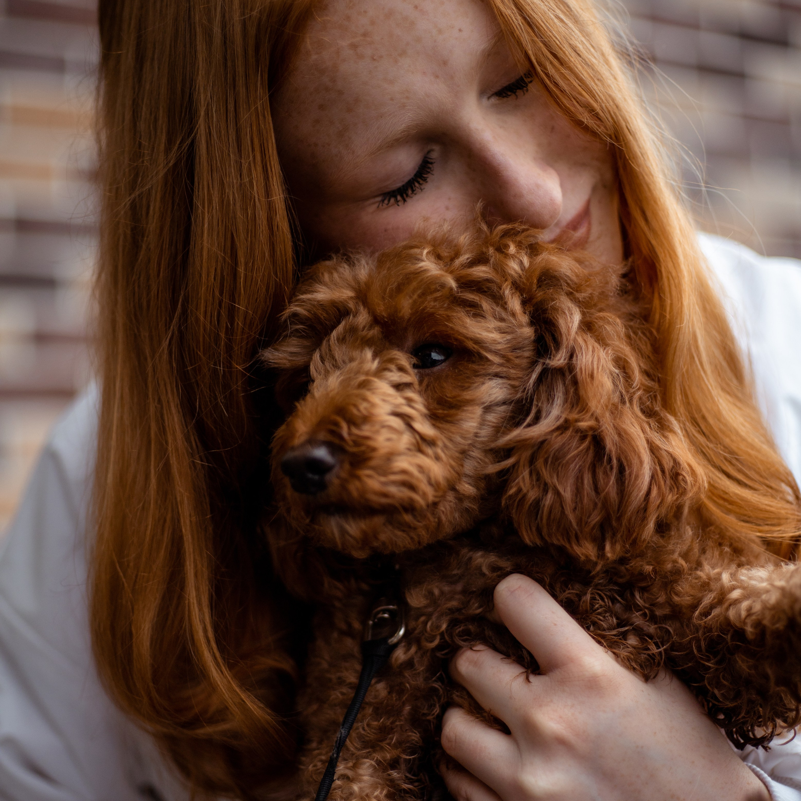Съемки с питомцем